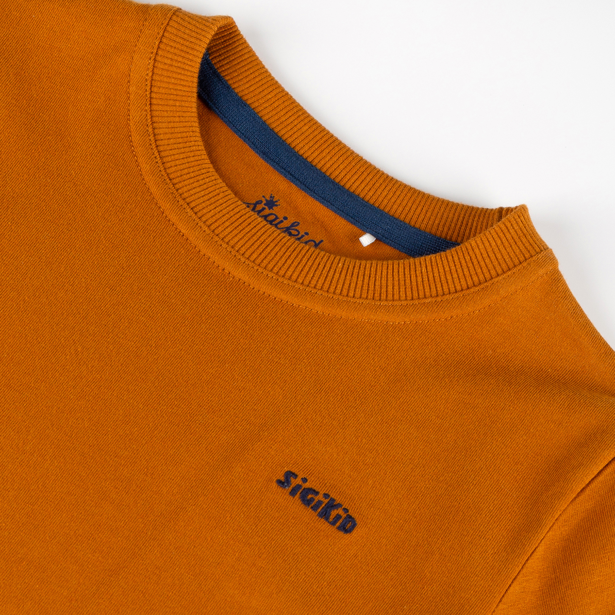 Kinder T-Shirt Tiger & Löwe, braun