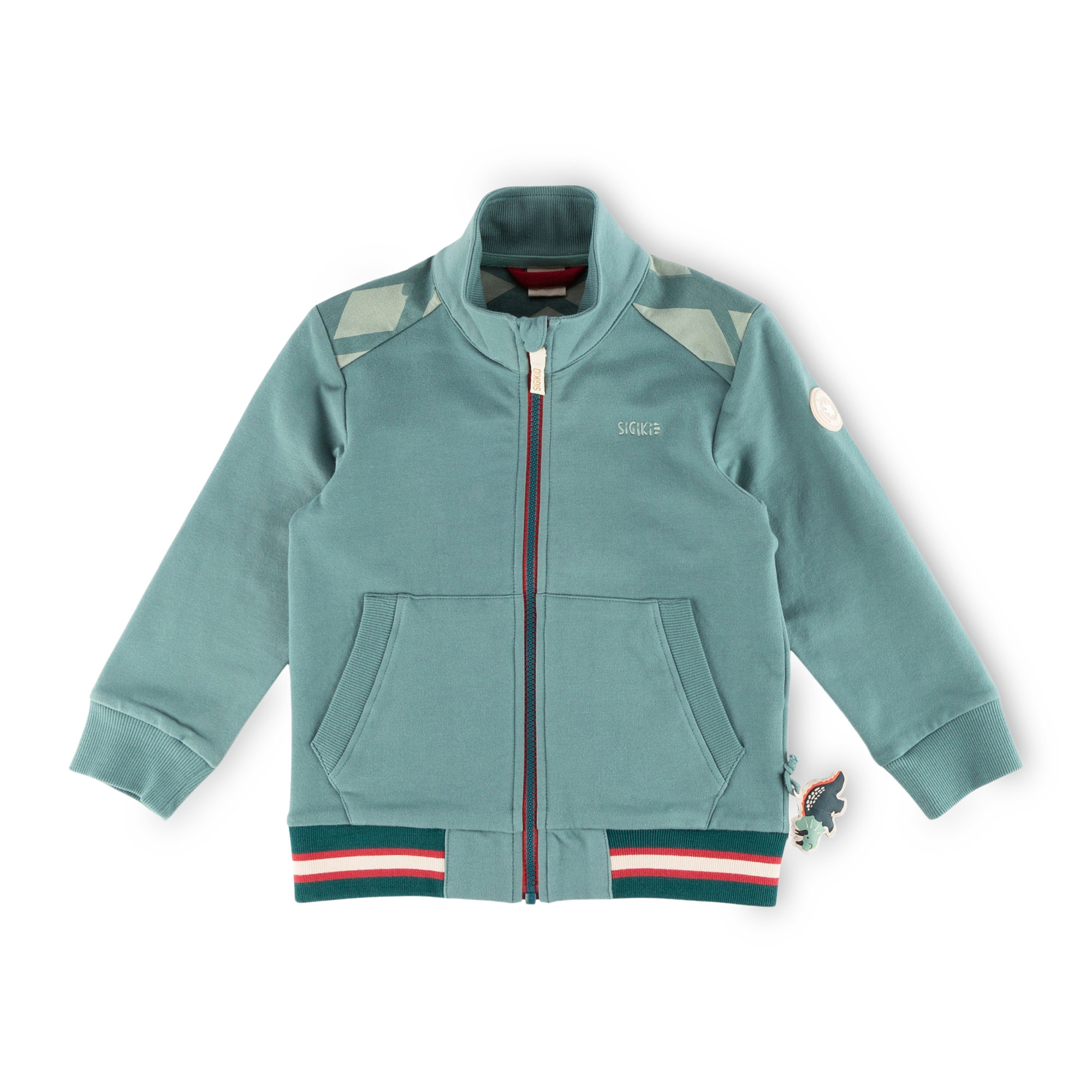Kinder Sweatjacke mit Dino Motiv, grün