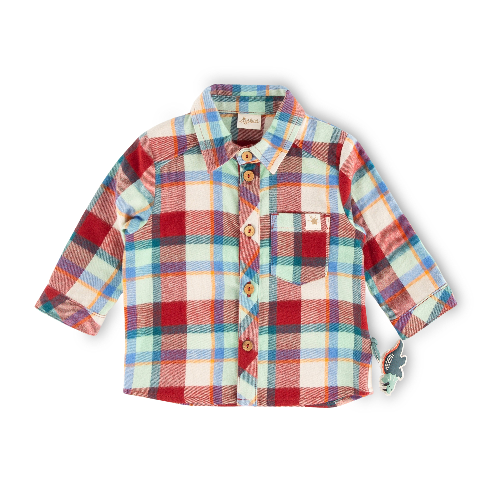 Kariertes Baby Flanellhemd Dino World, Langarm