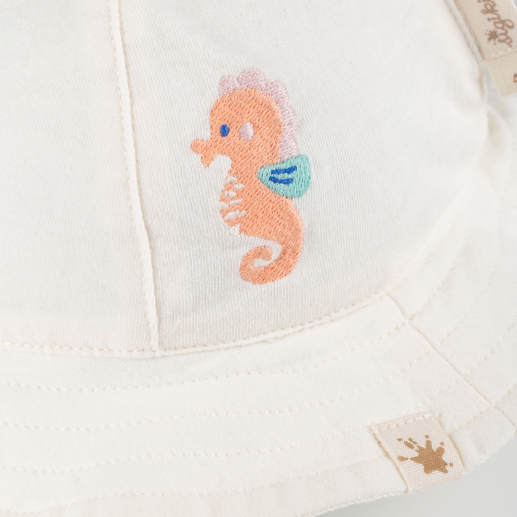 Baby Sonnenhut Seepferdchen, weiß