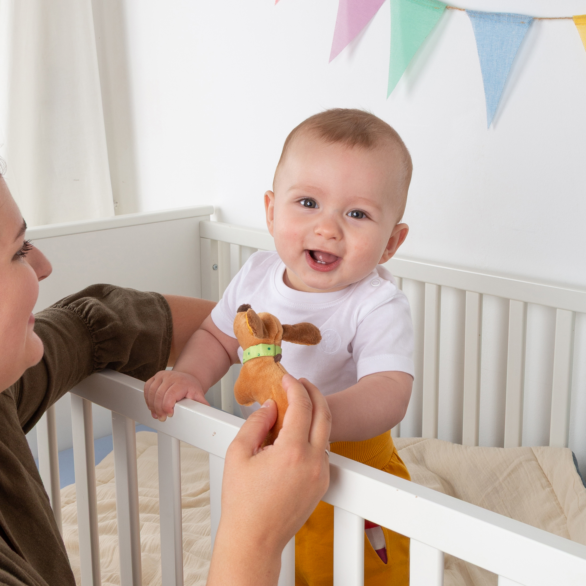 Baby Greifling Hund Dackel Baby Greifling Hund Dackel