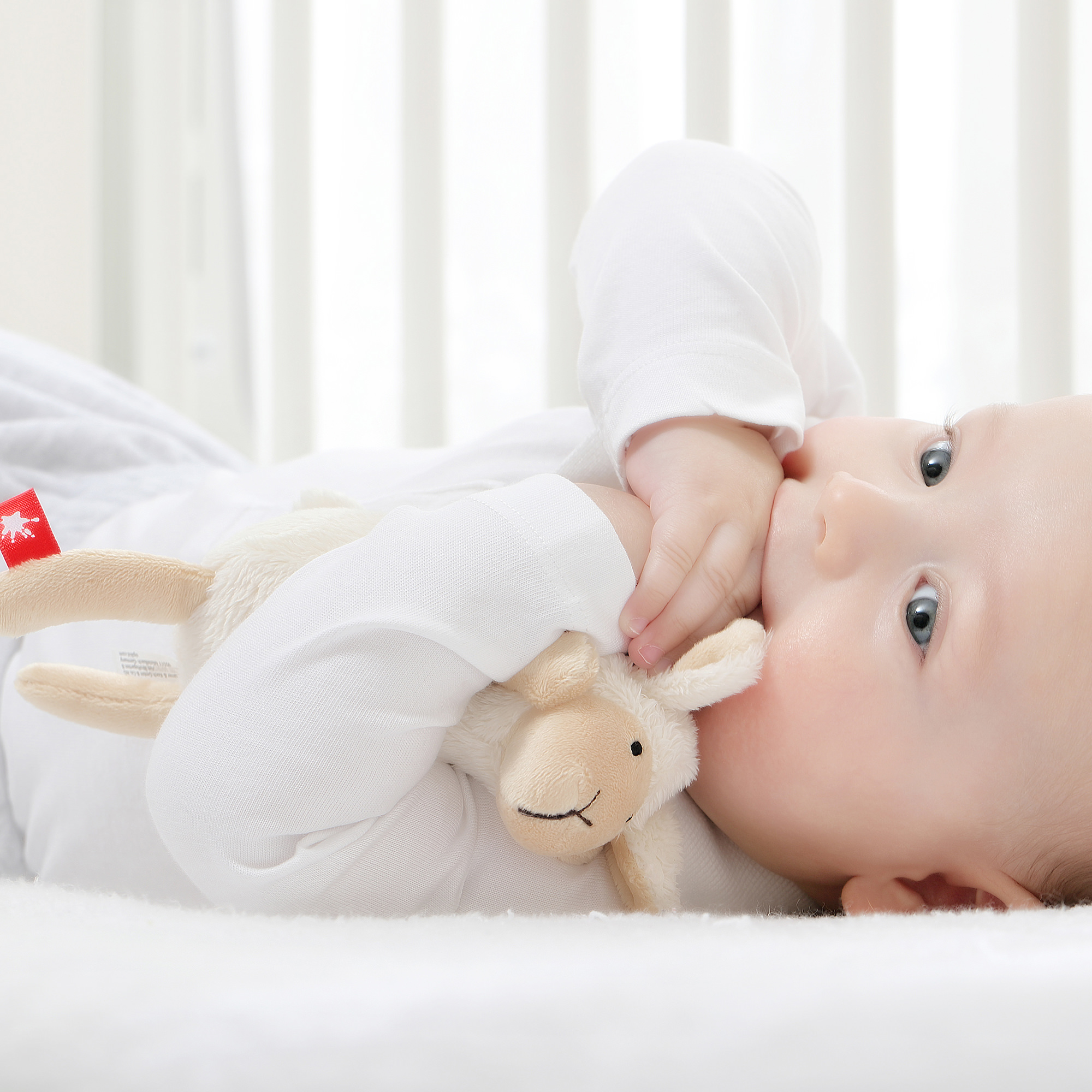 Mini Kuscheltier Schaf Sweety Mini Kuscheltier Schaf Sweety