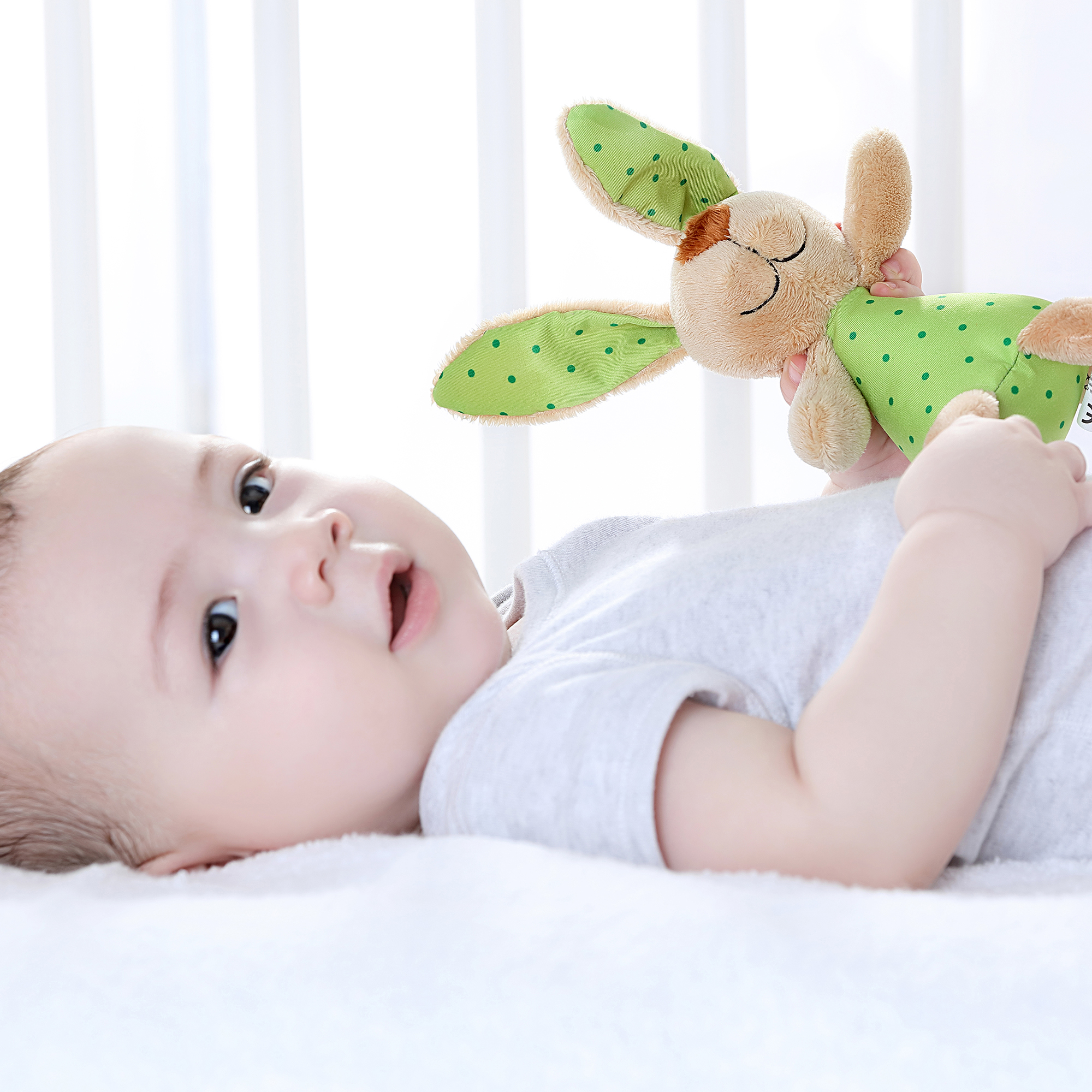 Rassel Hase, Red Stars Rassel Hase, Red Stars