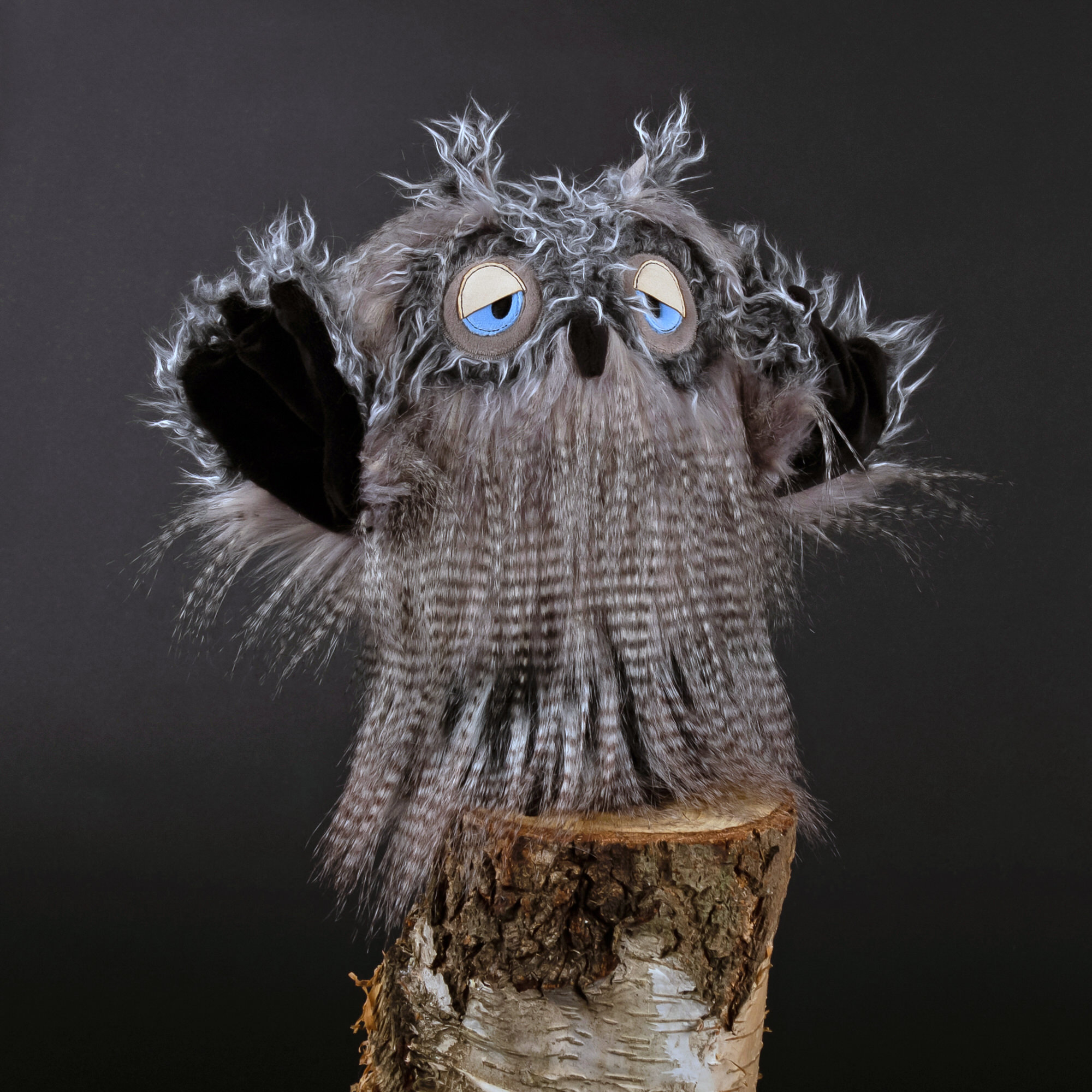 Kuscheleule Miss Night Owl, Kikeriki