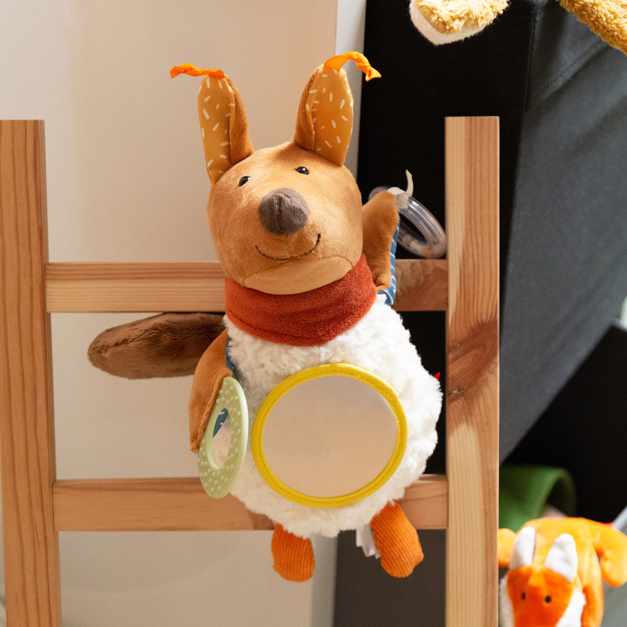 Baby Aktiv-Eichhörnchen Baby Aktiv-Eichhörnchen