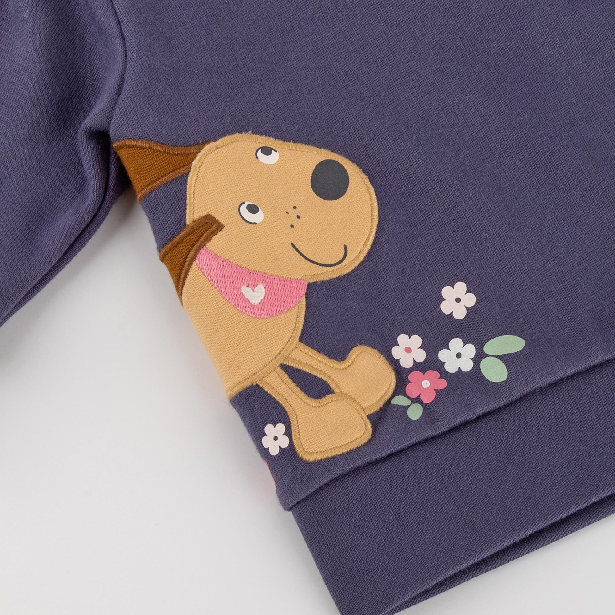 Blaues Baby Sweatshirt, Hündchen Funny Dog Blaues Baby Sweatshirt, Hündchen Funny Dog