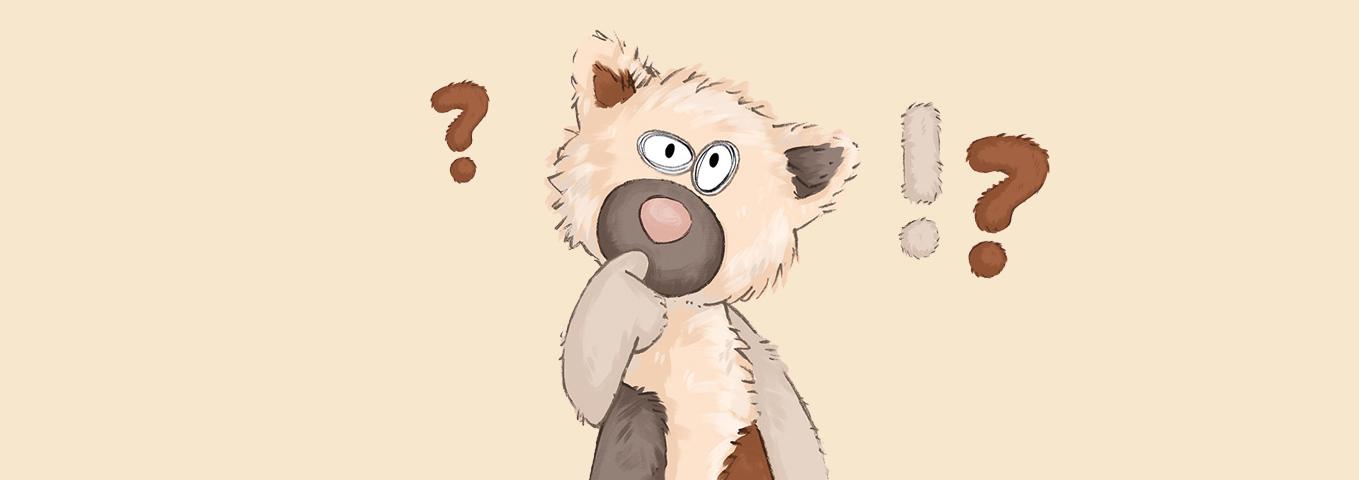 Katzen-Quiz