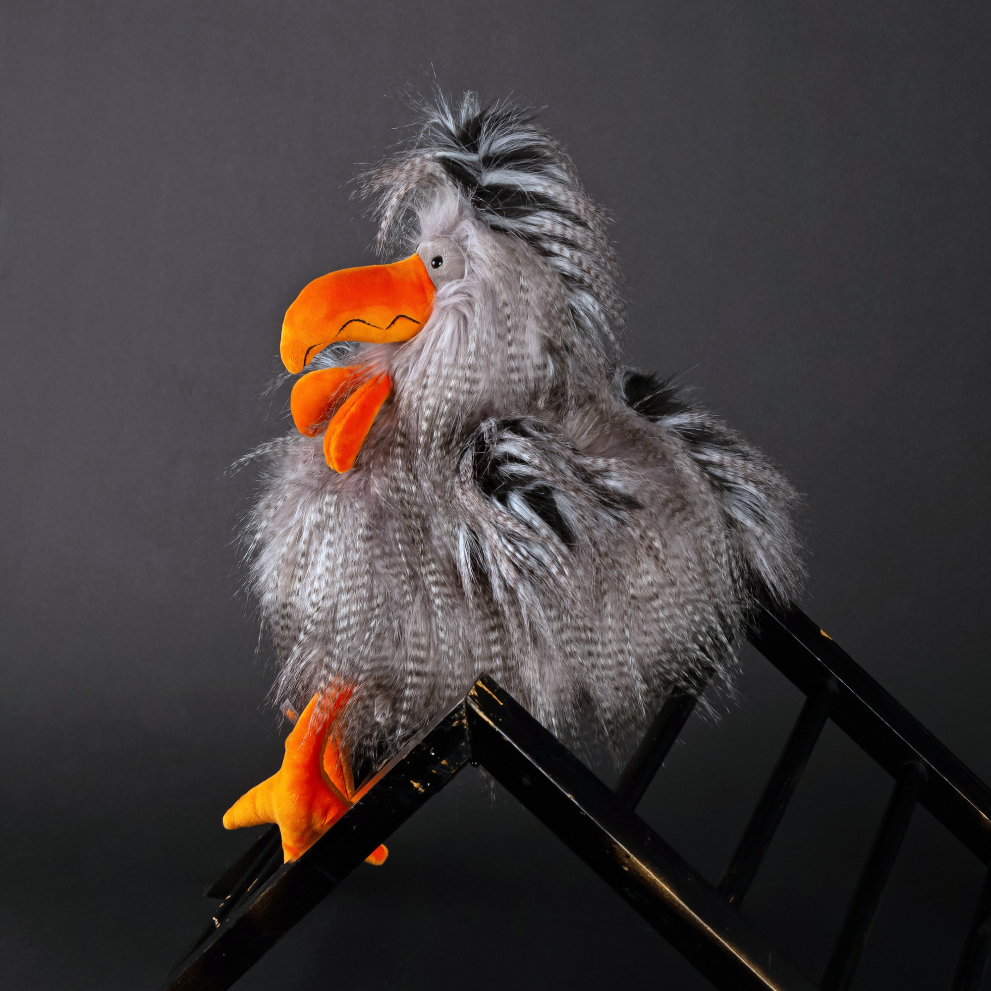 Kuschelhahn Roost Boost, Kikeriki Kuschelhahn Roost Boost, Kikeriki