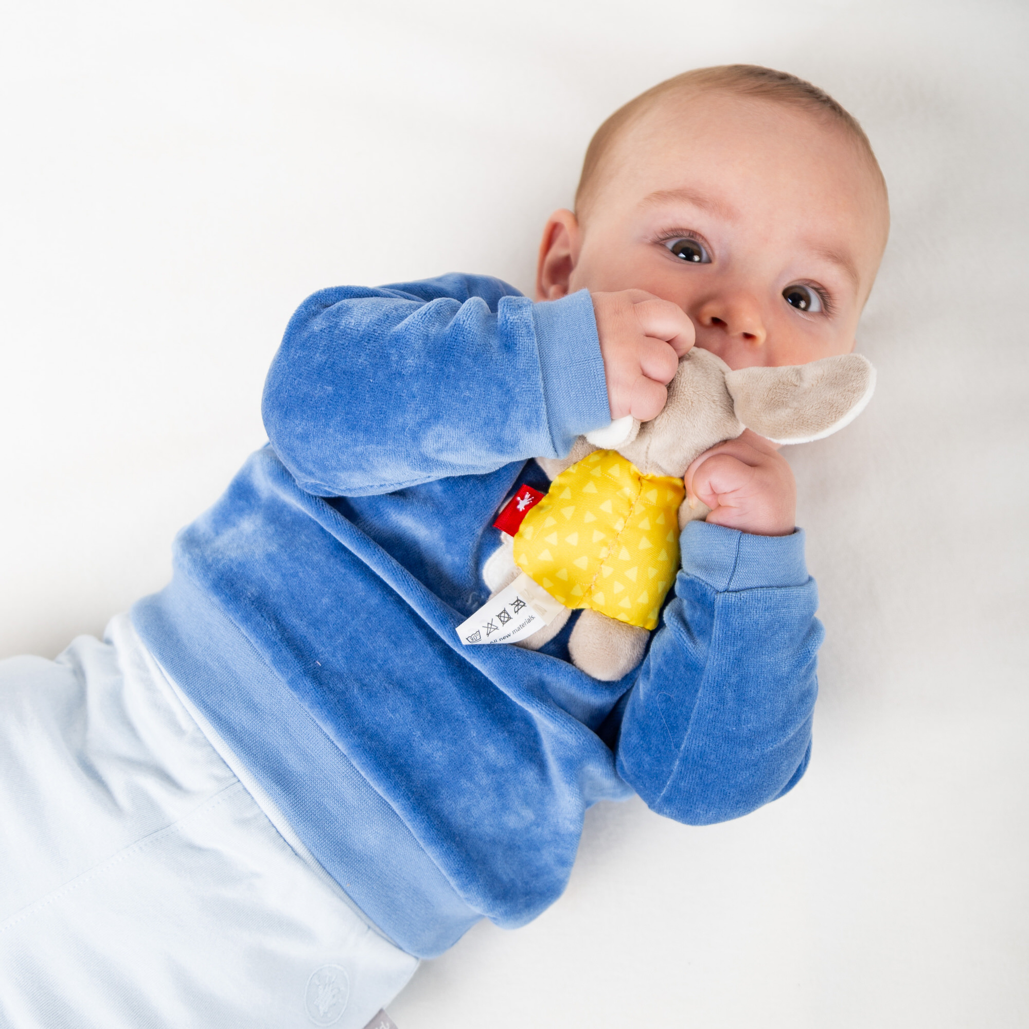 Babyrassel Hund, Red Stars