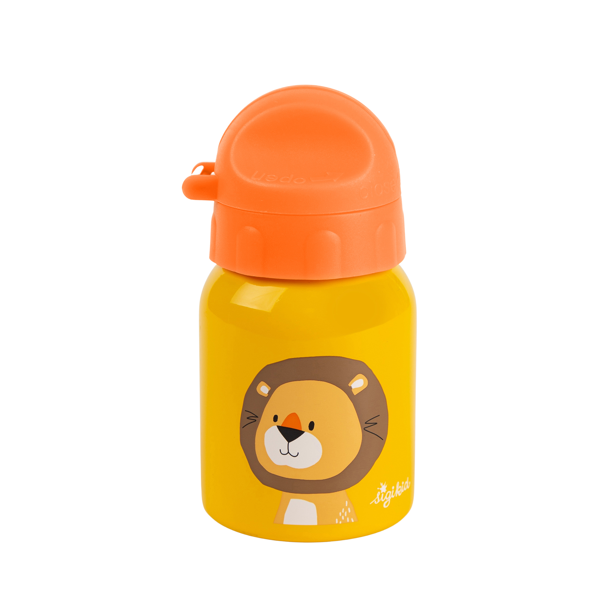 Kinder Set 250 ml Edelstahl-Trinkflasche und Brotbox, Löwe Kinder Set 250 ml Edelstahl-Trinkflasche und Brotbox, Löwe