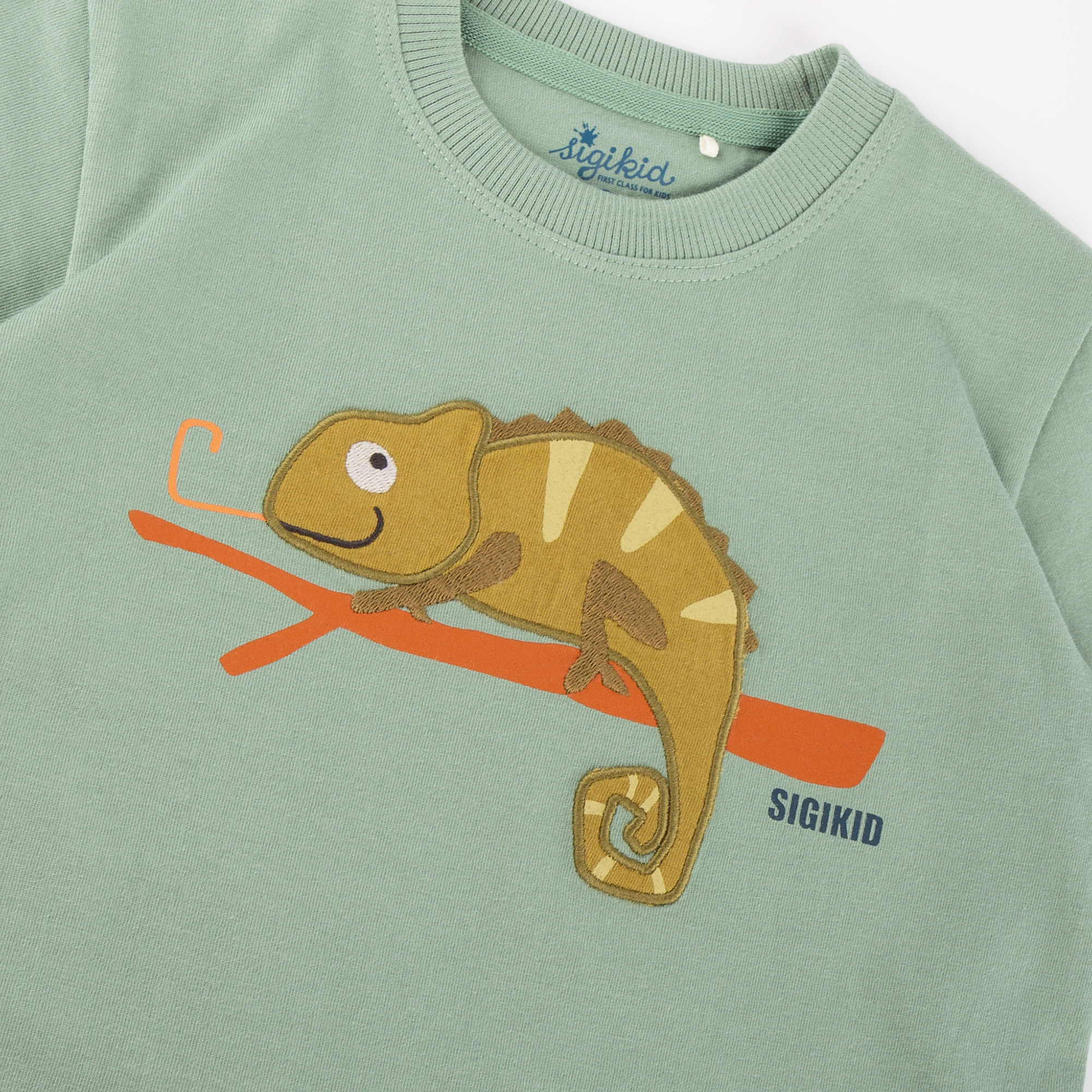 Kinder T-Shirt Chamäleon, schilfgrün, Jungle