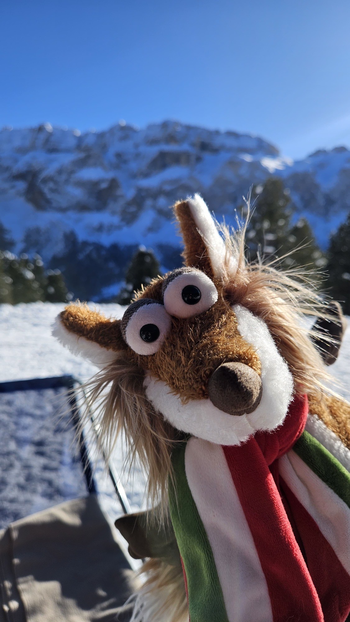 Beasts Kuschelfuchs Nino Passione, Sportfan – Versand gemäß Auftragseingang, ab sofort bis KW 11