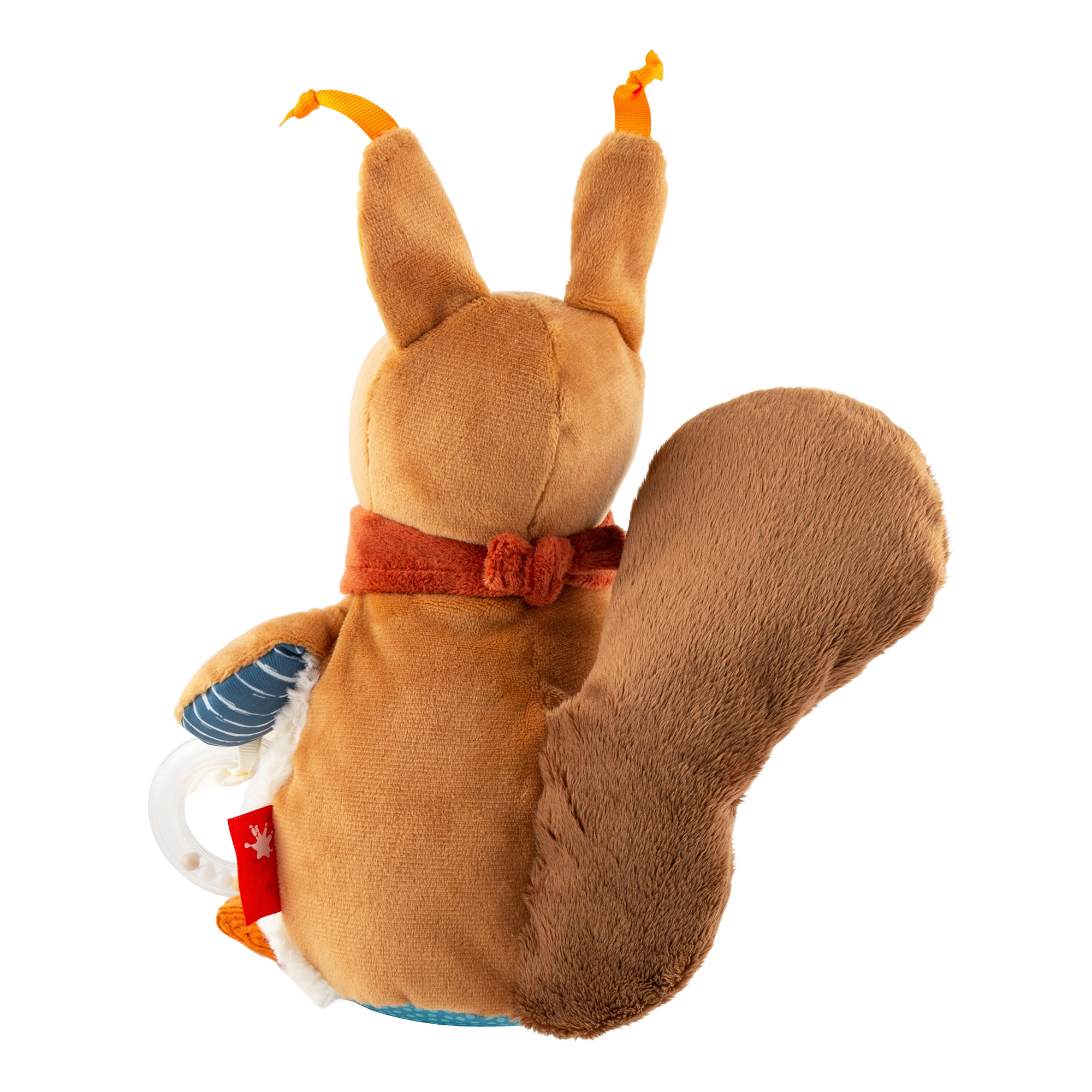 Baby Aktiv-Eichhörnchen Baby Aktiv-Eichhörnchen