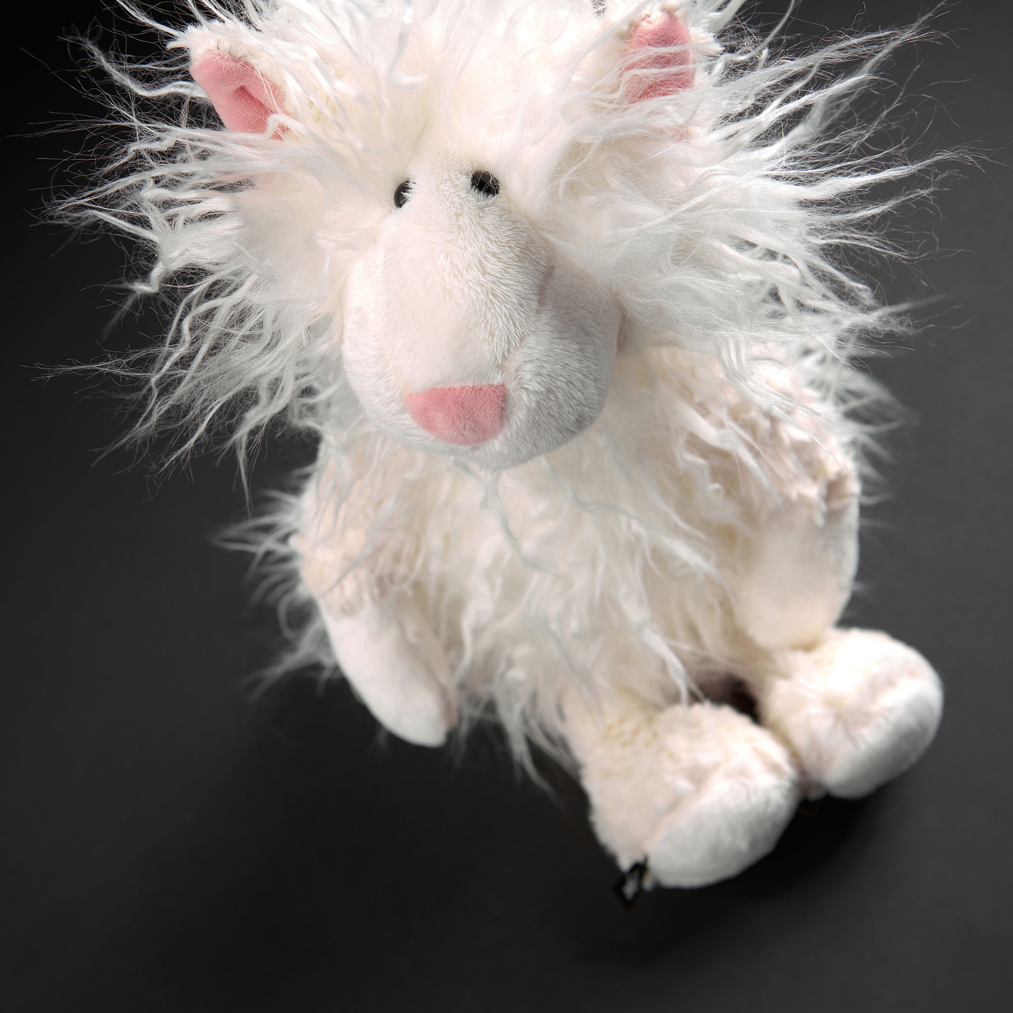 Kuschelkatze St. Monic, Beaststown