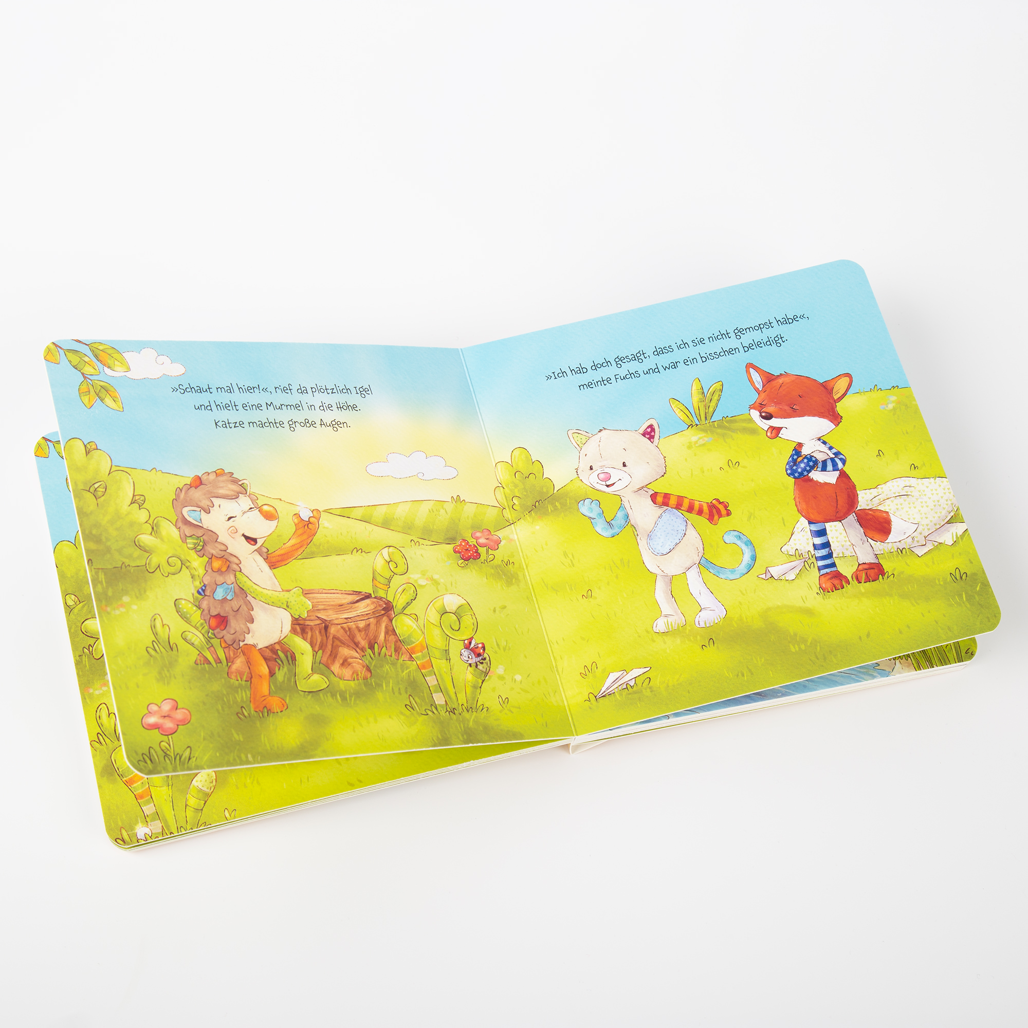 Bilderbuch Das Räuberhäschen Bilderbuch Das Räuberhäschen