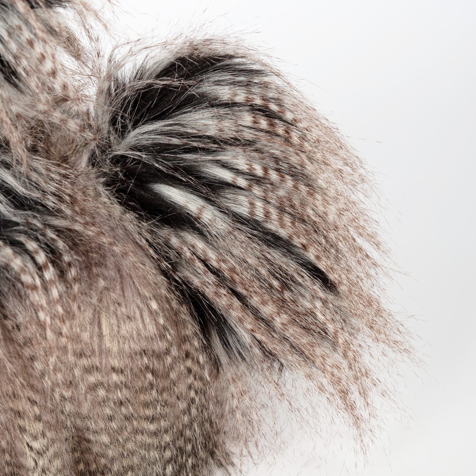 Kuschelhahn Roost Boost, Kikeriki Kuschelhahn Roost Boost, Kikeriki