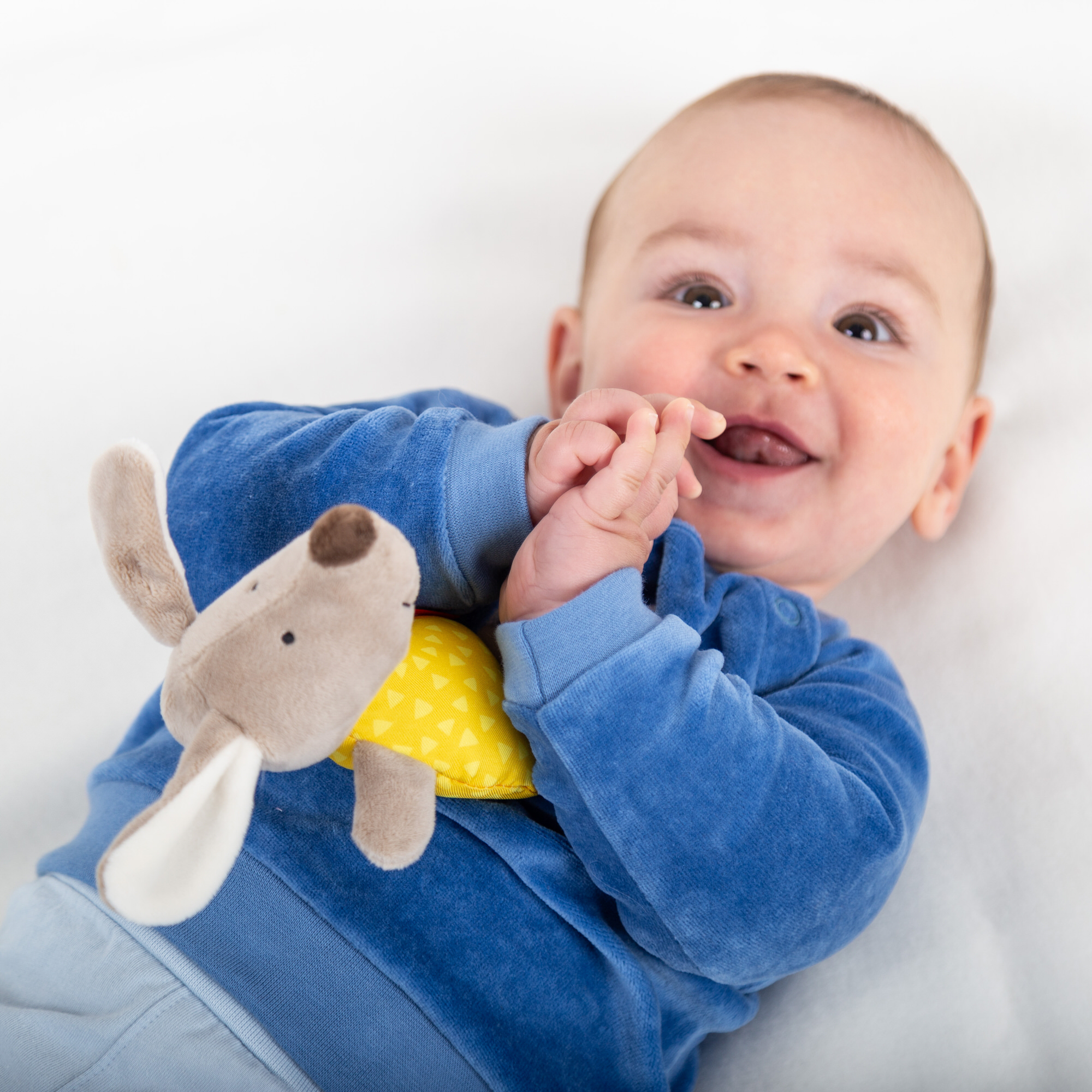 Babyrassel Hund, Red Stars