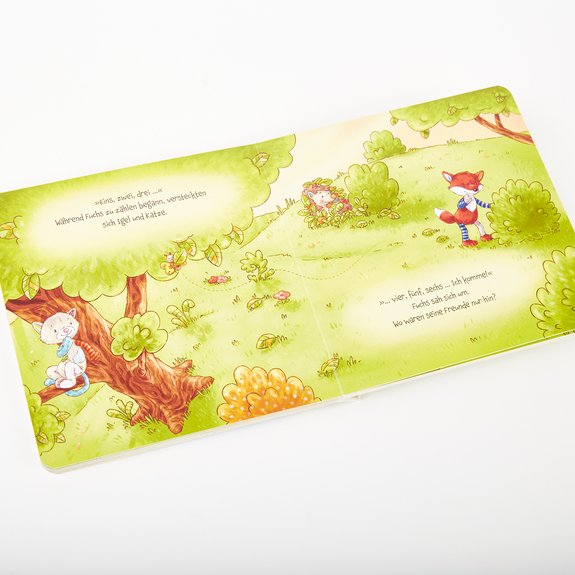 Bilderbuch Die Mutmachbrücke Band 2 Bilderbuch Die Mutmachbrücke Band 2