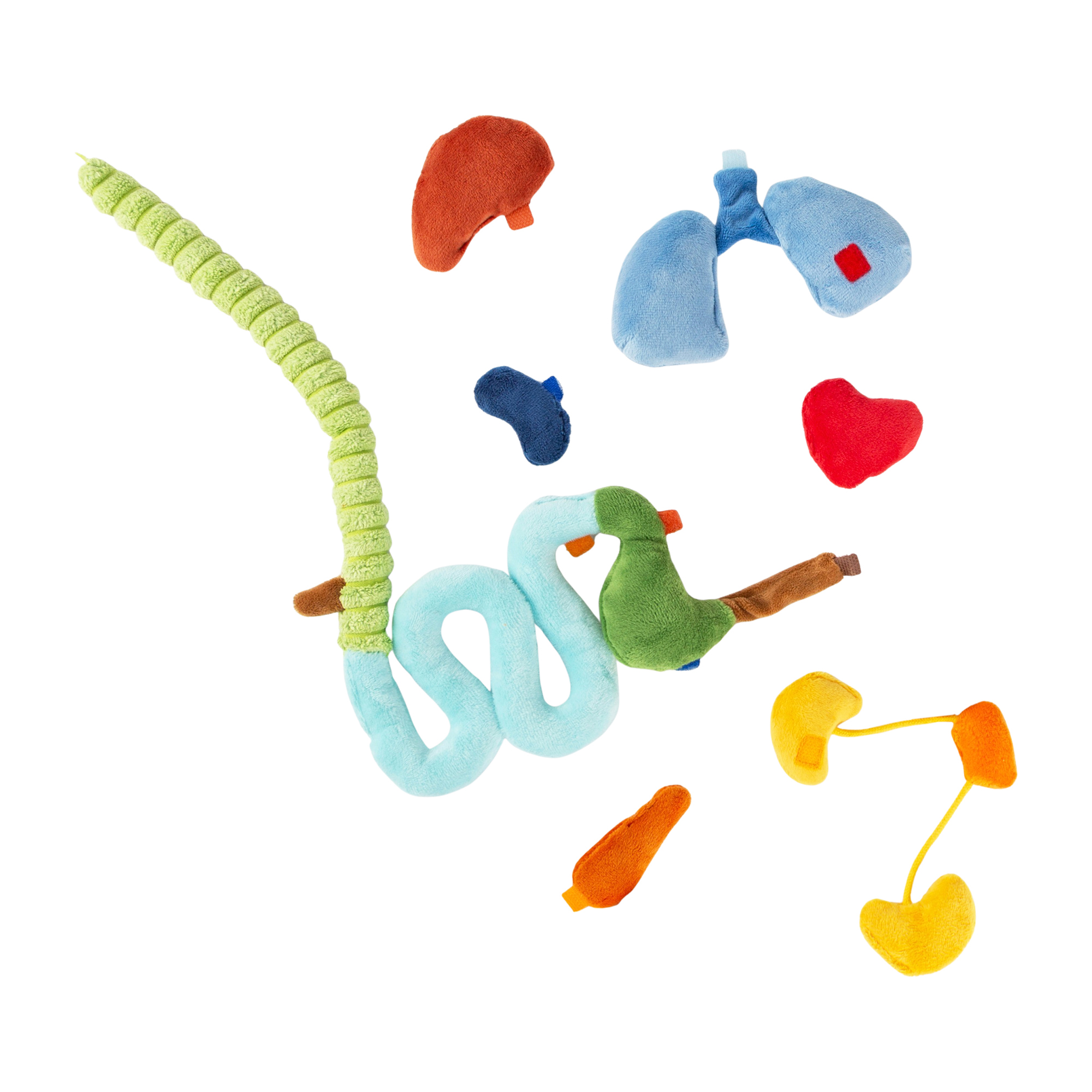 Lern-Puppe Erwin der kleine Patient Lern-Puppe Erwin der kleine Patient