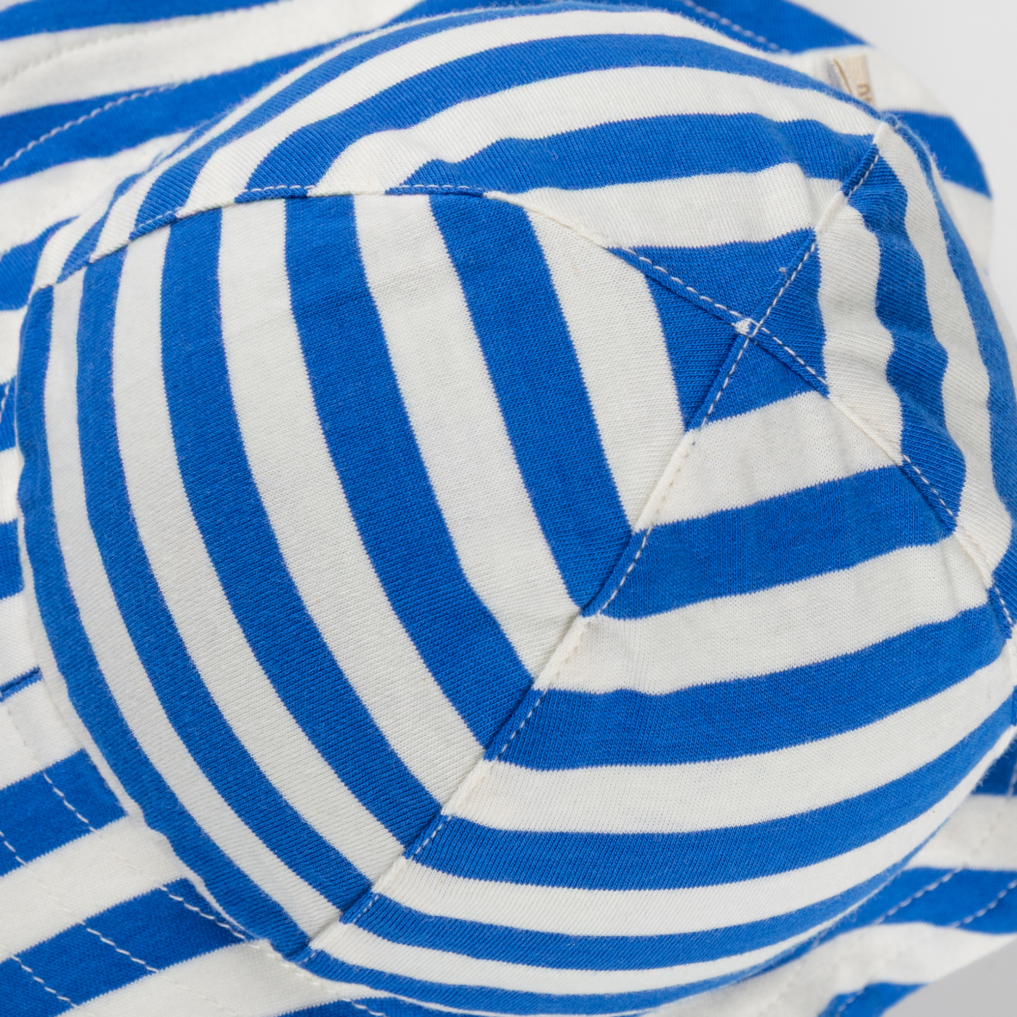 Baby Ringel Sonnenhut, blau-weiß