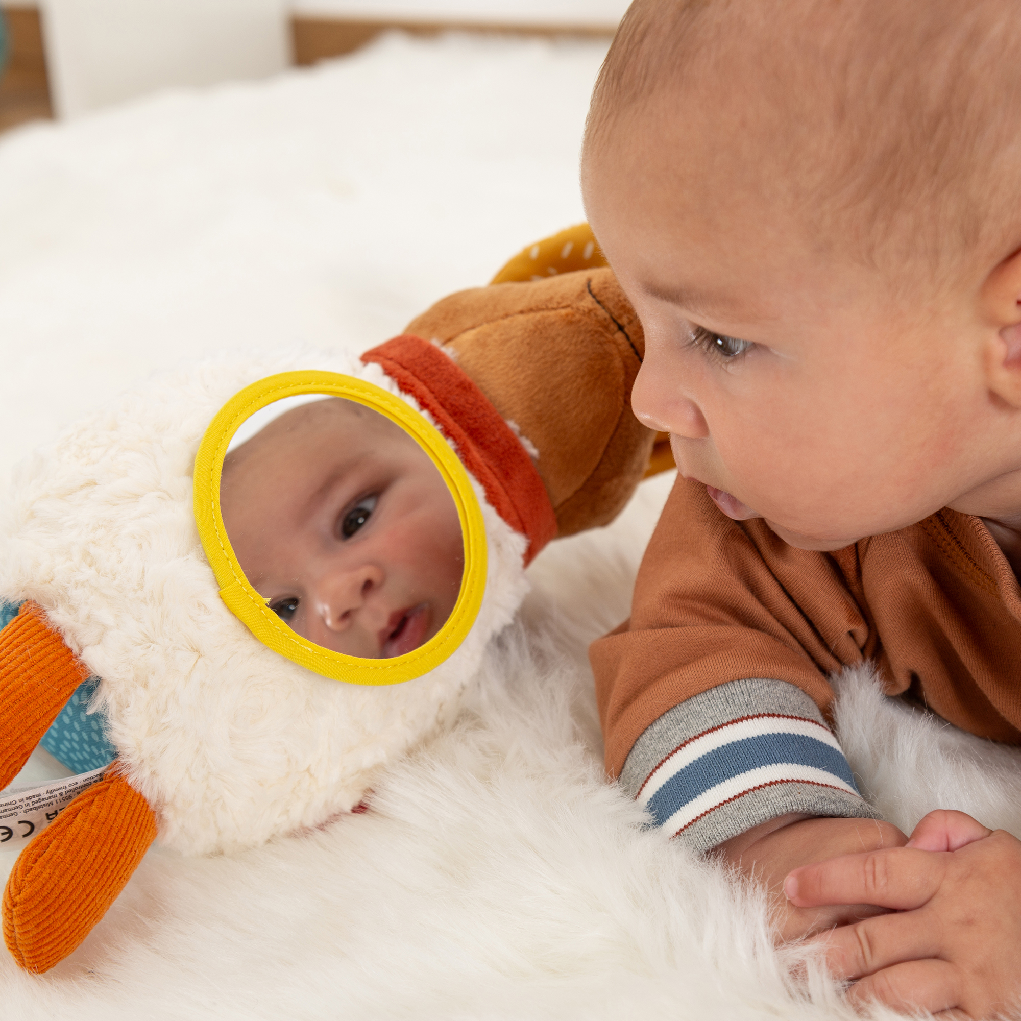 Baby Aktiv-Eichhörnchen Baby Aktiv-Eichhörnchen