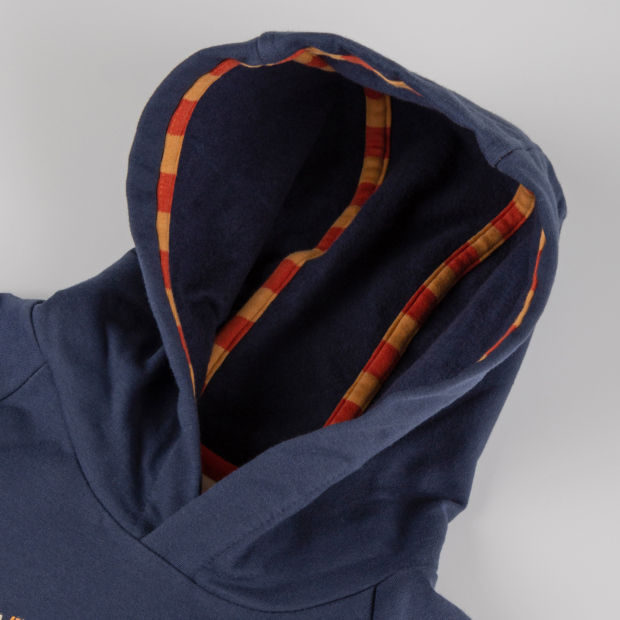 Children's hoody sweatshirt Wild Fox