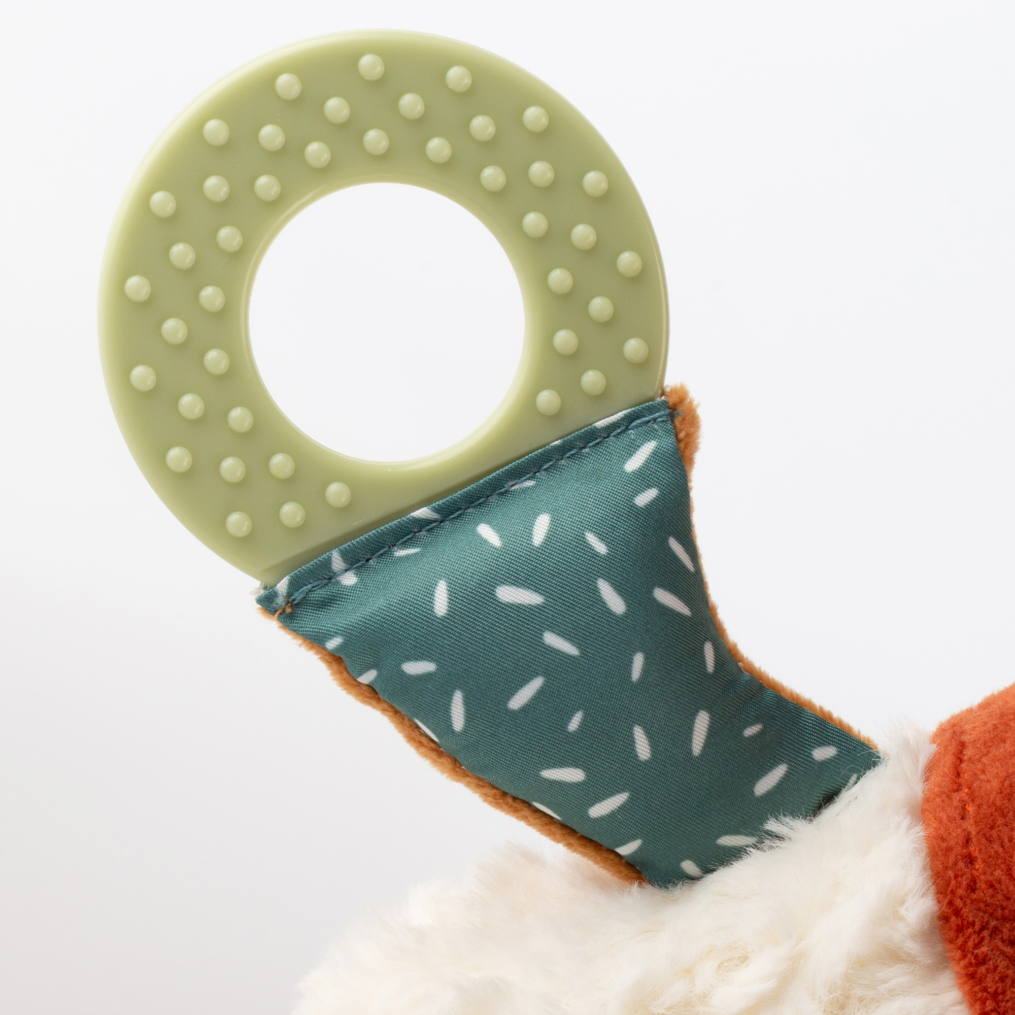 Baby Aktiv-Eichhörnchen Baby Aktiv-Eichhörnchen