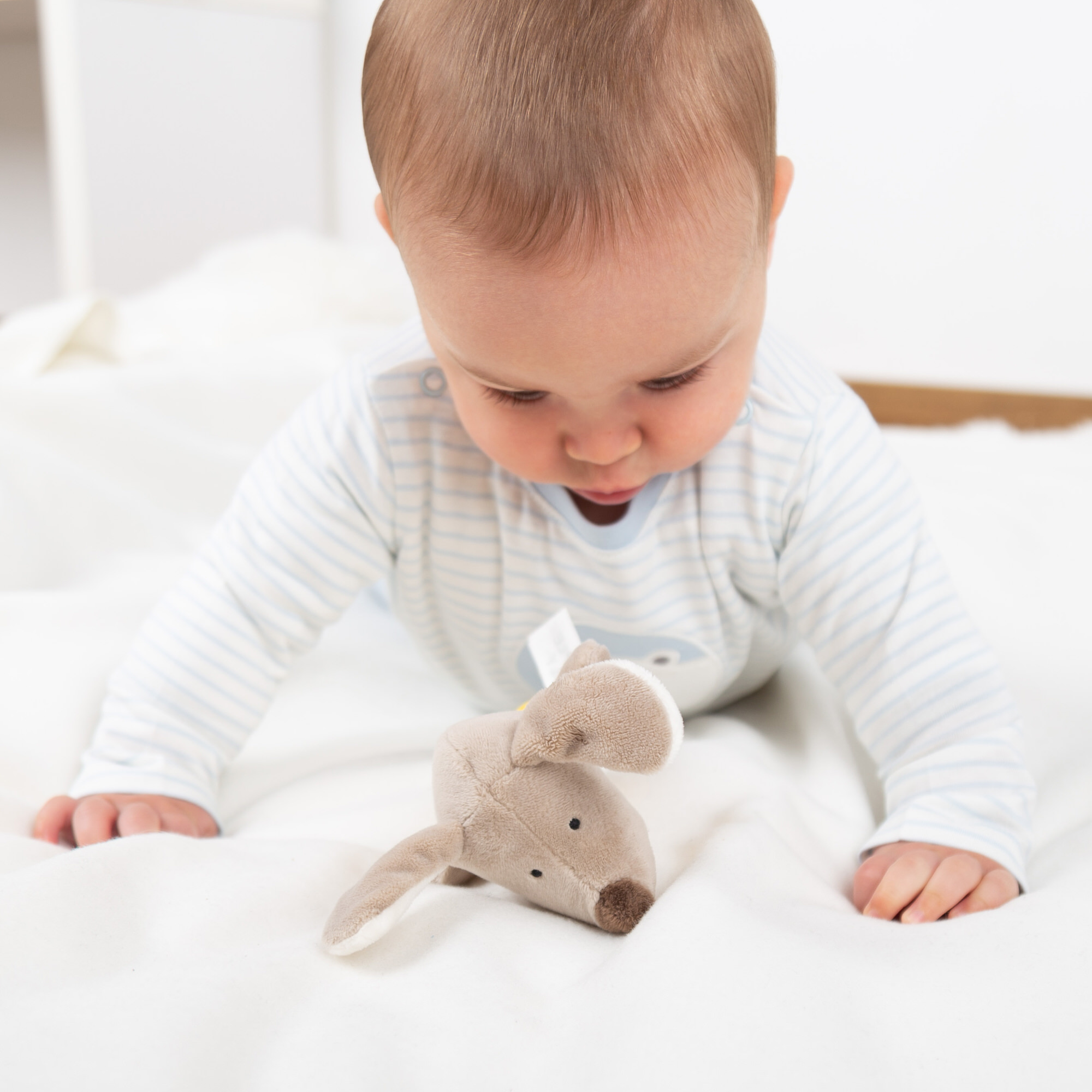 Babyrassel Hund, Red Stars