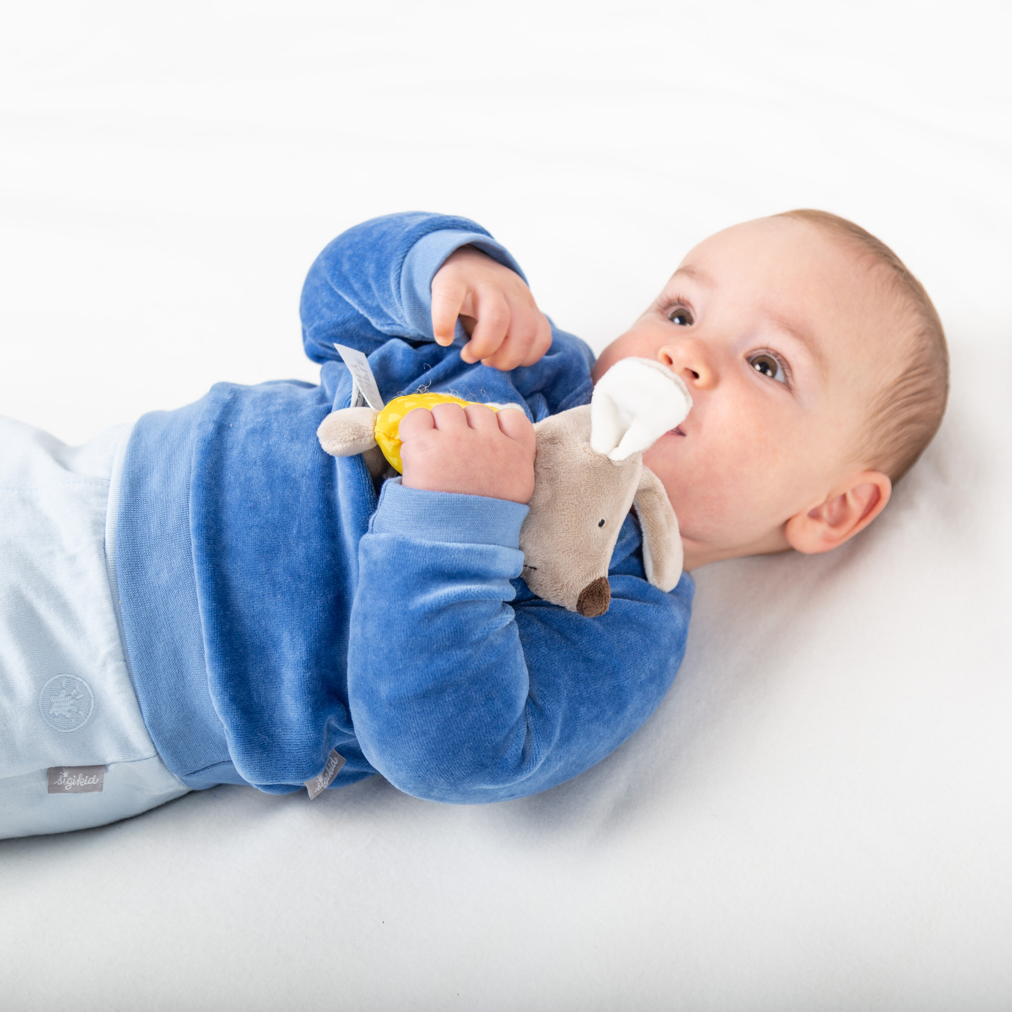 Babyrassel Hund, Red Stars