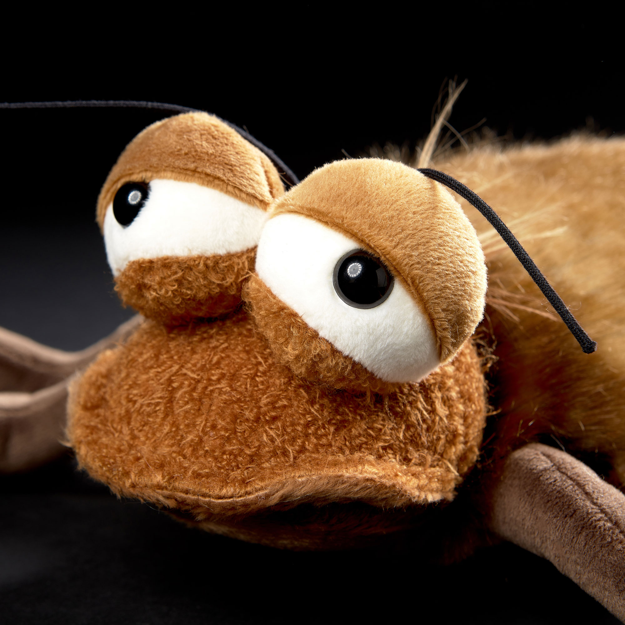 Plush toy cockroach Chacca Cacalaca, Beasts collection