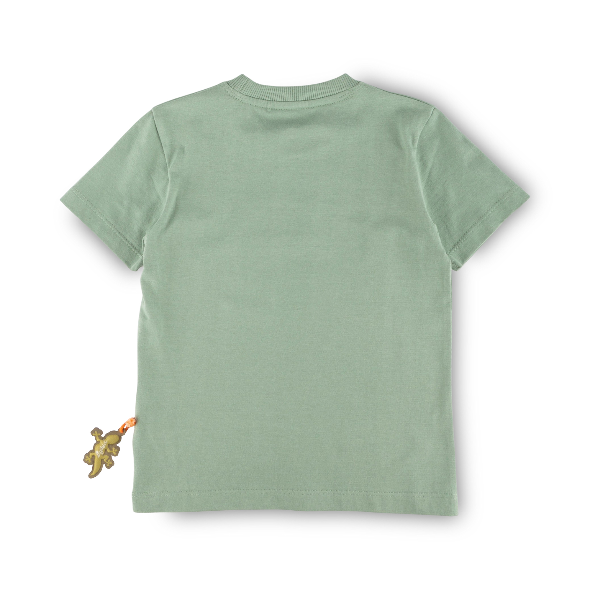 Kinder T-Shirt Chamäleon, schilfgrün, Jungle