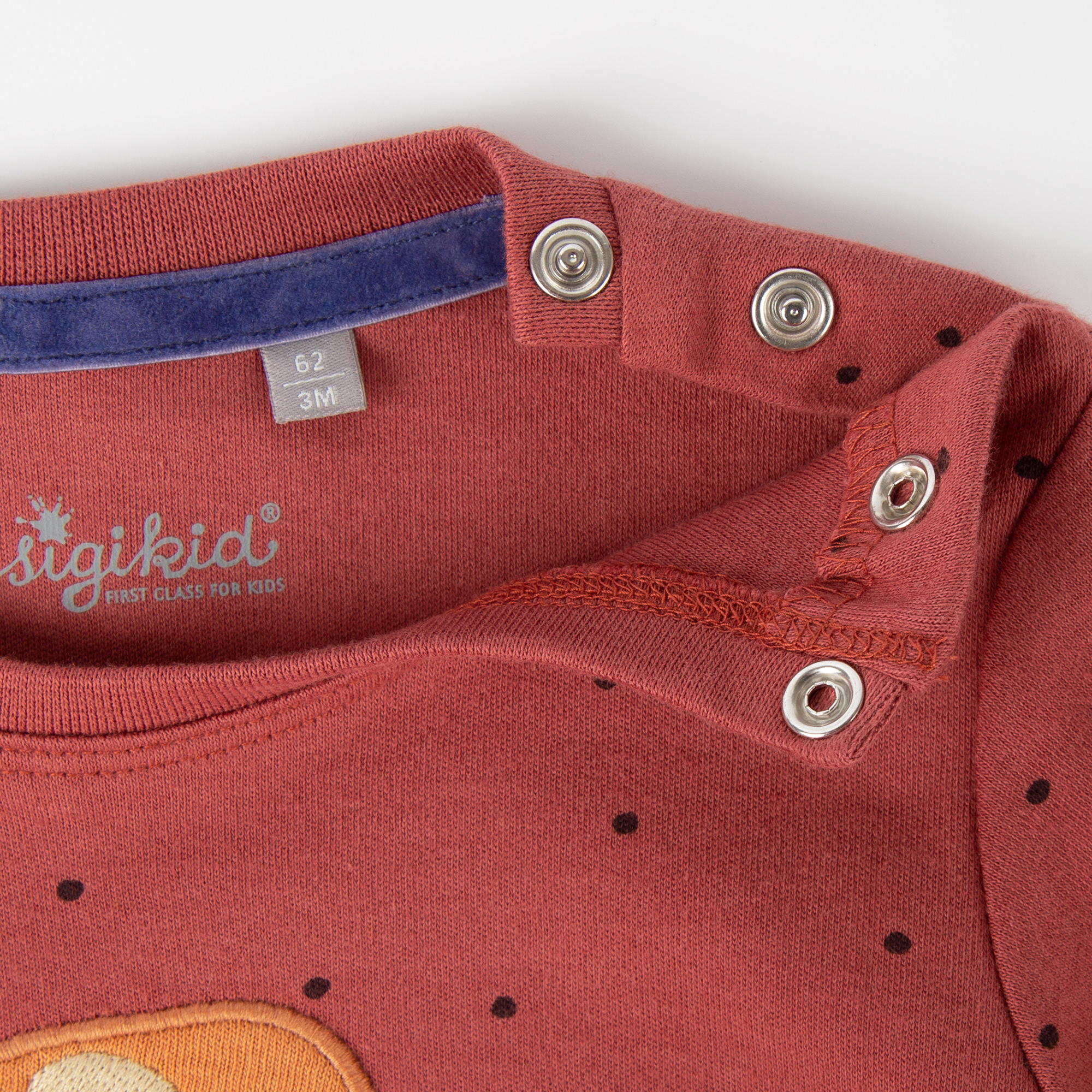 Baby Kleid rotbraun mit Pünktchen und Herbst Motiv Baby Kleid rotbraun mit Pünktchen und Herbst Motiv