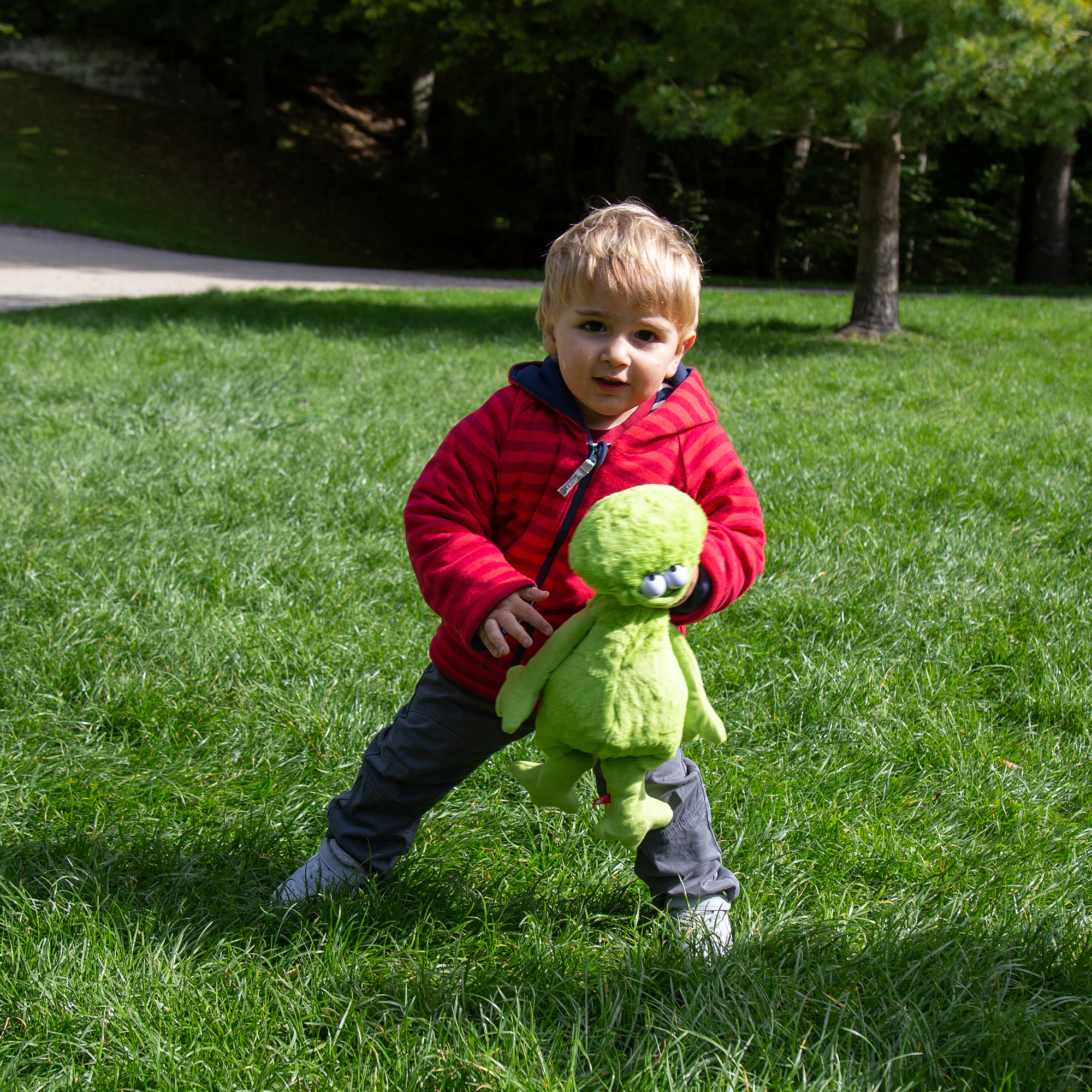 "Express your mood" plush frog