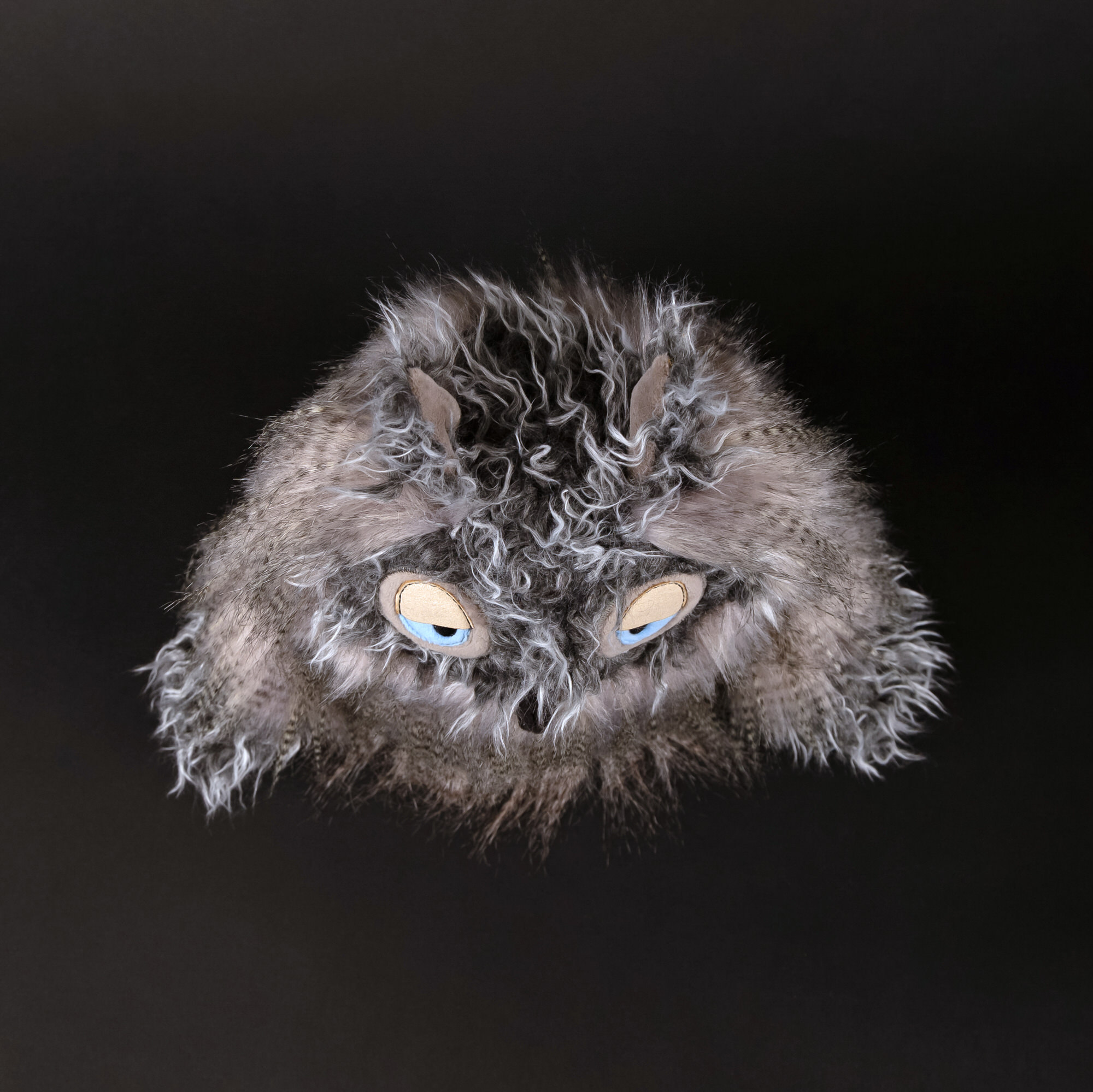 Kuscheleule Miss Night Owl, Kikeriki