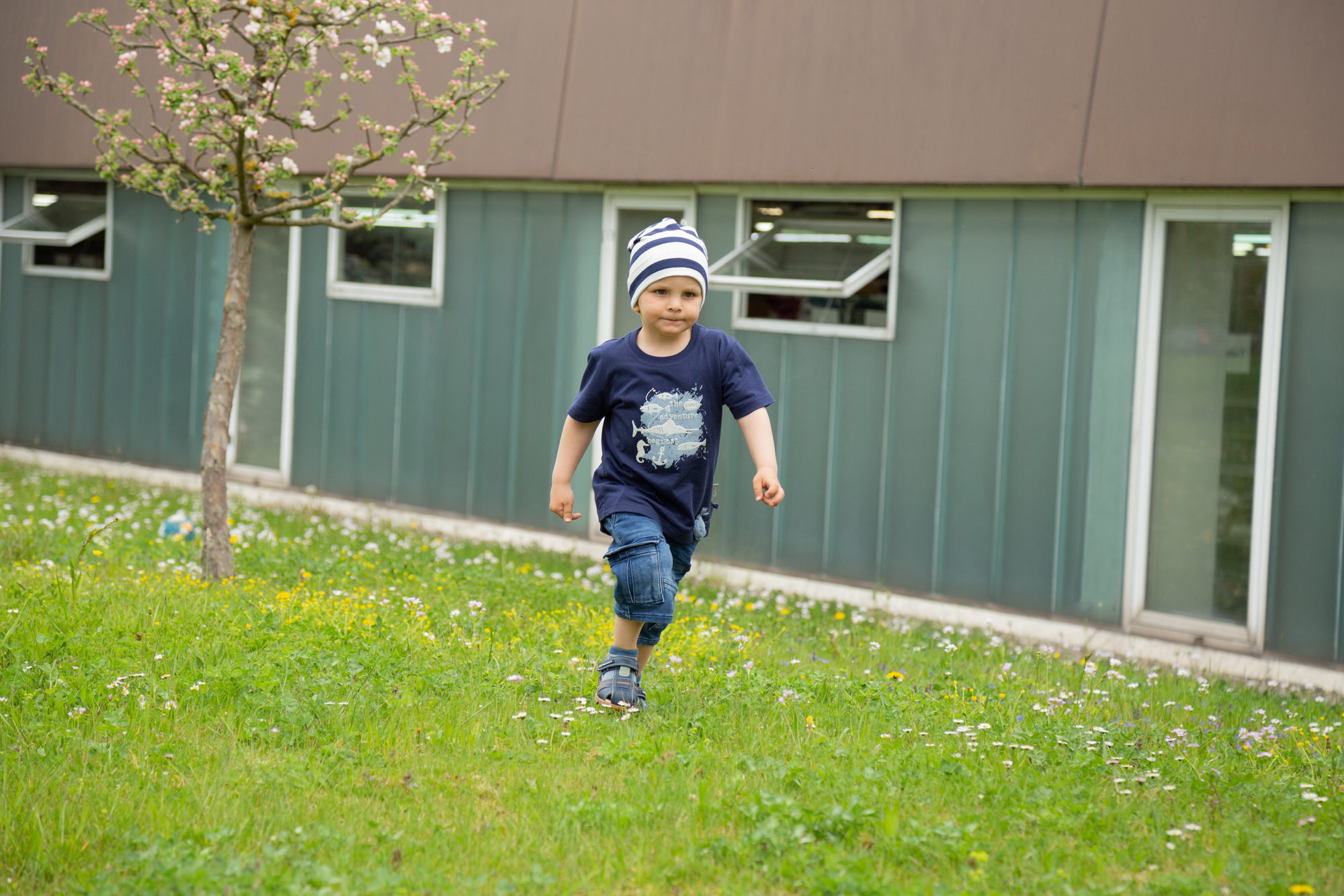 Jungen Jeans Bermuda Jungen Jeans Bermuda