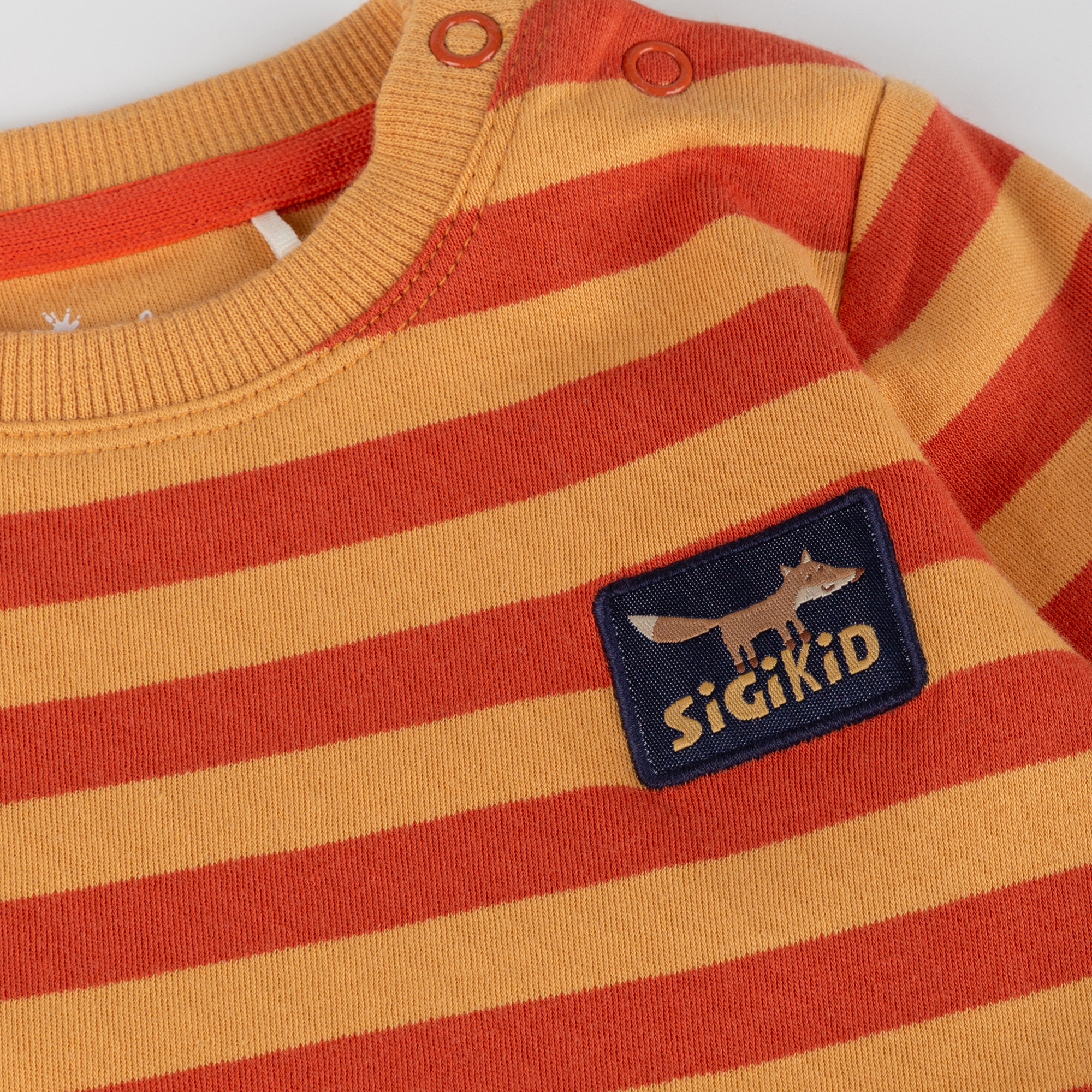 Baby Langarmshirt Fuchs Wild Fox, orange-braun gestreift