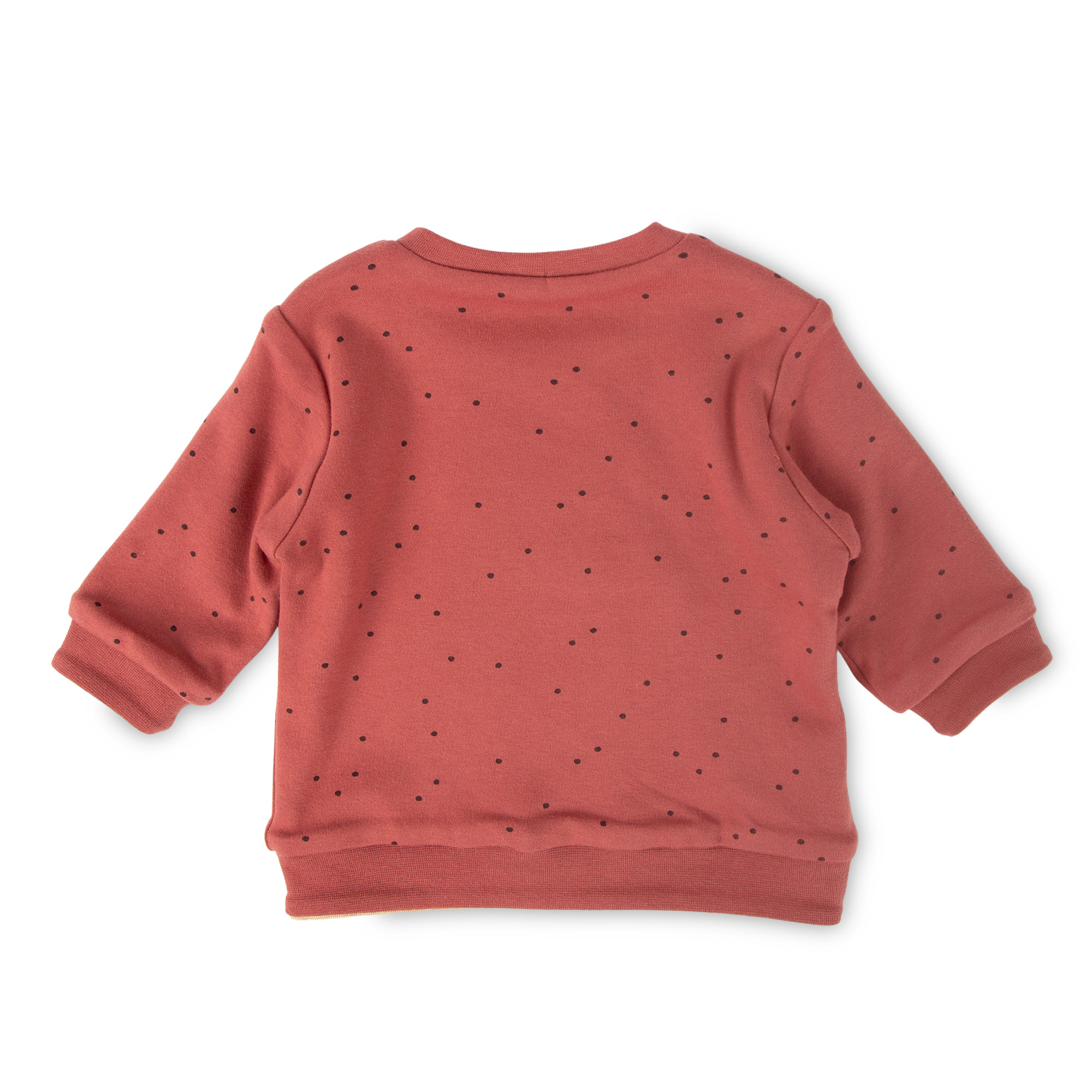 Baby Wendeshirt rotbraun mit Pünktchen/bunter Herbstprint Baby Wendeshirt rotbraun mit Pünktchen/bunter Herbstprint