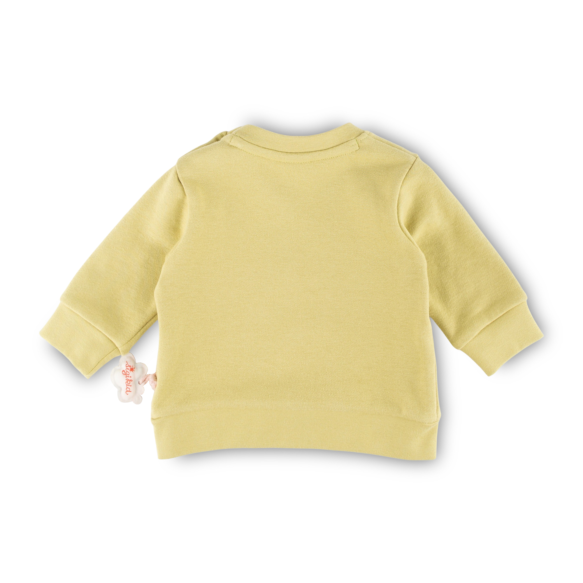 Baby Sweatshirt Marienkäfer, hellgrün