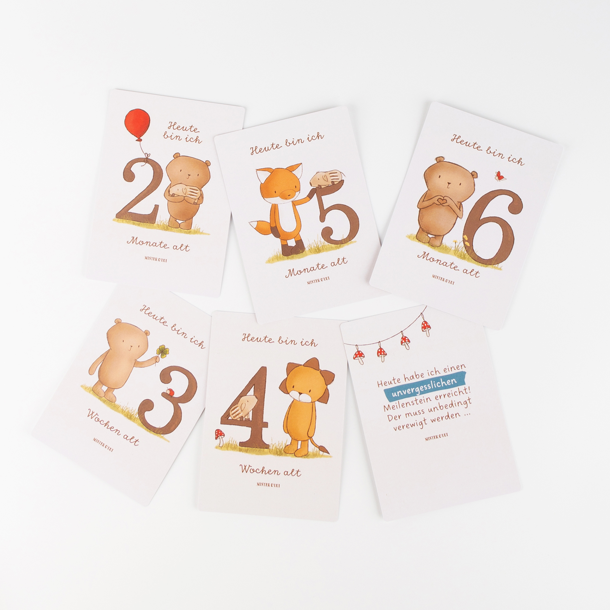 Schmuckdose mit 30 Meilensteinkarten Mister O'Lui Schmuckdose mit 30 Meilensteinkarten Mister O'Lui