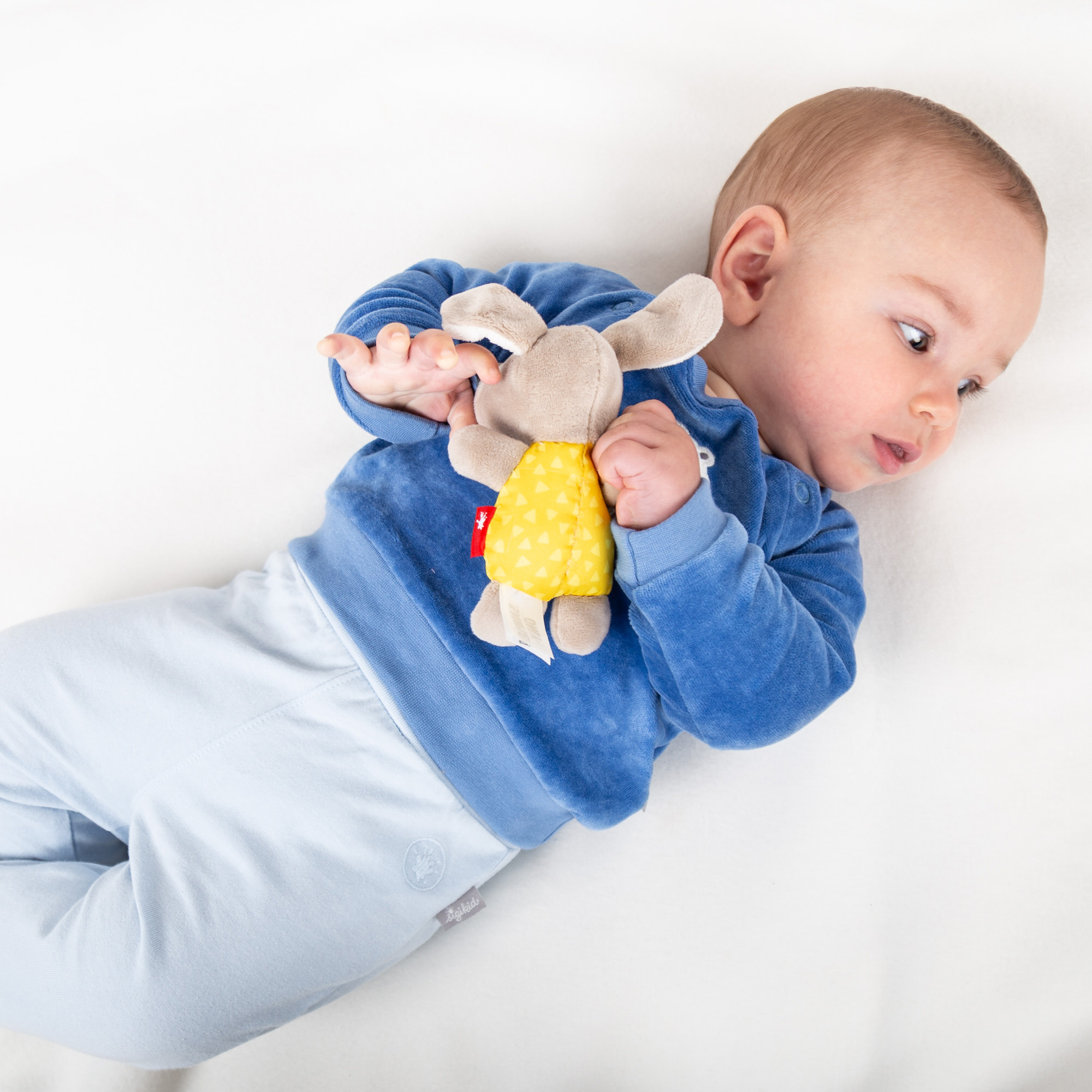 Babyrassel Hund, Red Stars