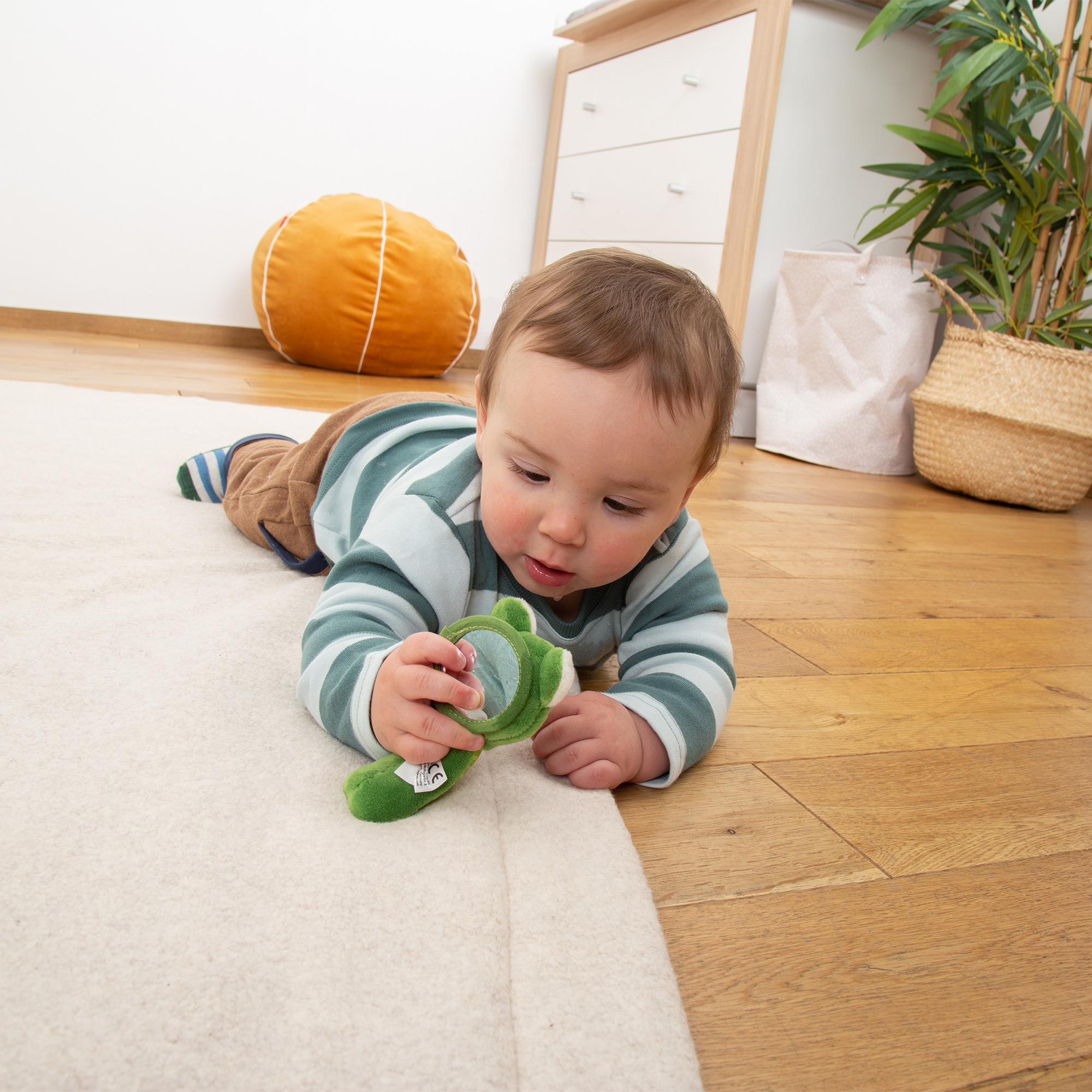 Rattle grasp toy frog with mirror