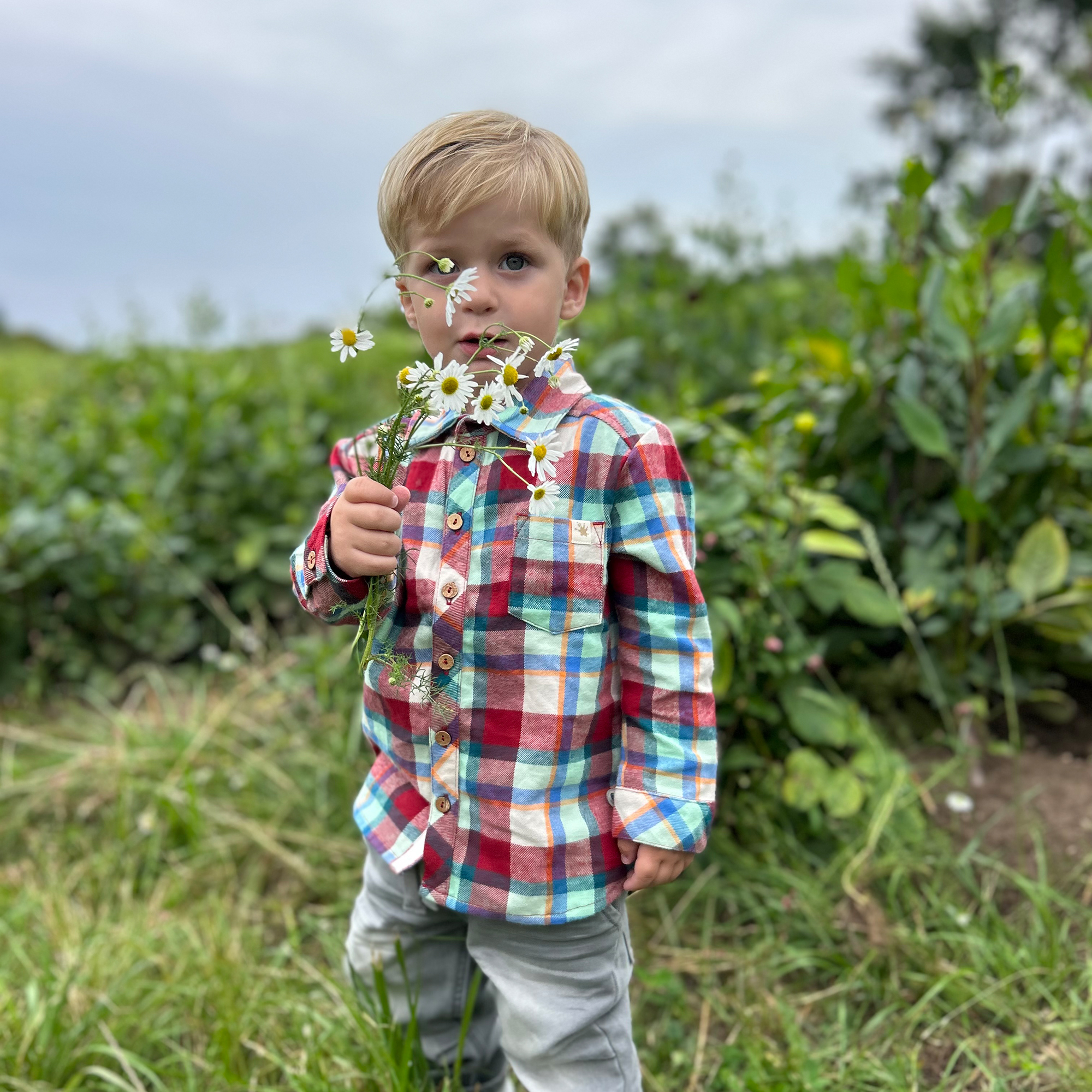 Kariertes Baby Flanellhemd Dino World, Langarm